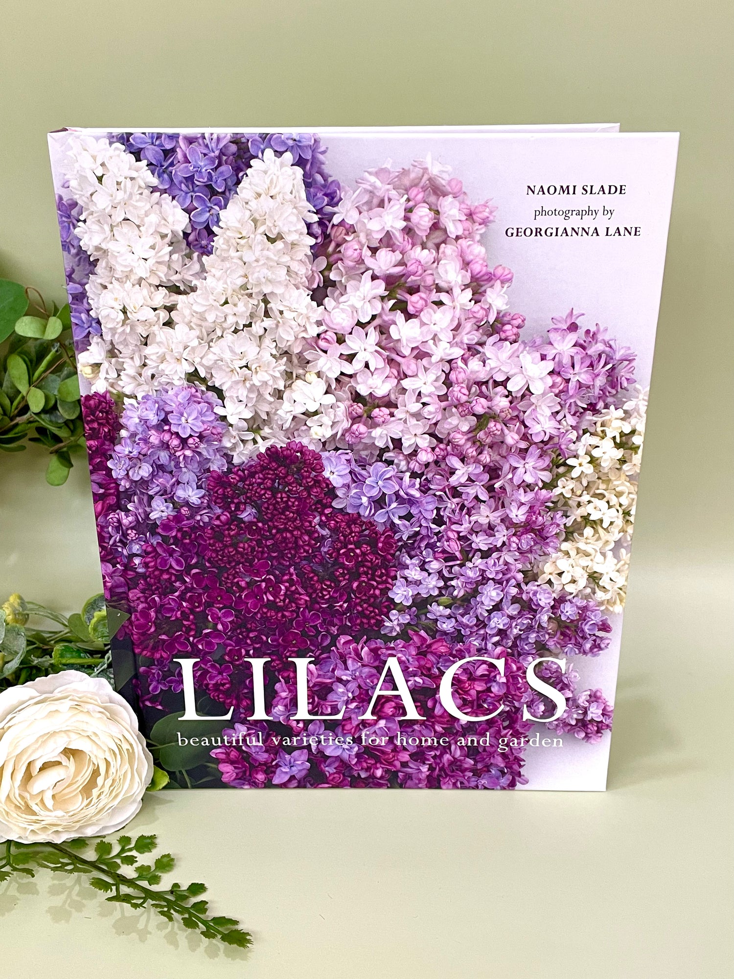 Lilacs