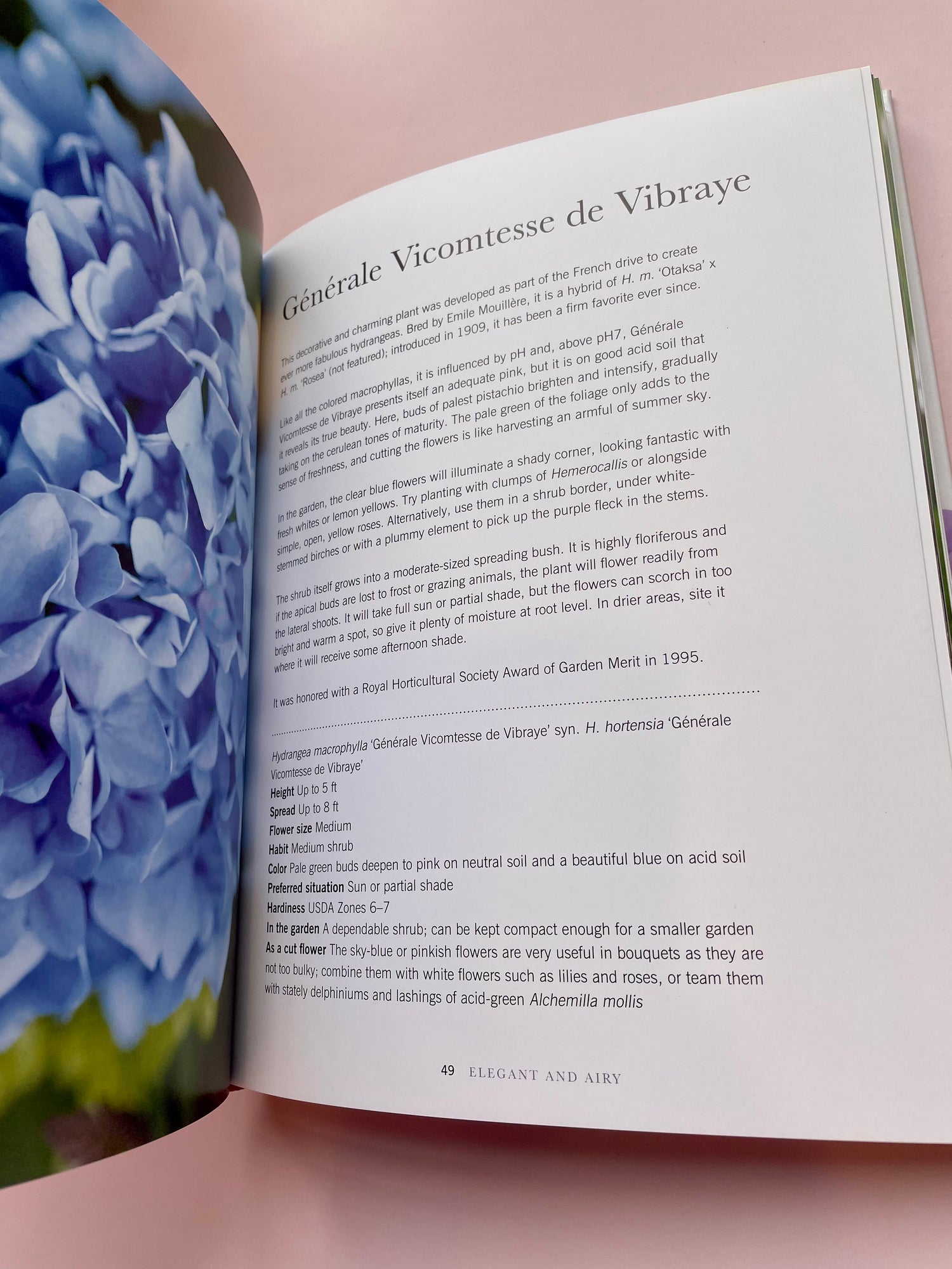 Hydrangeas Book