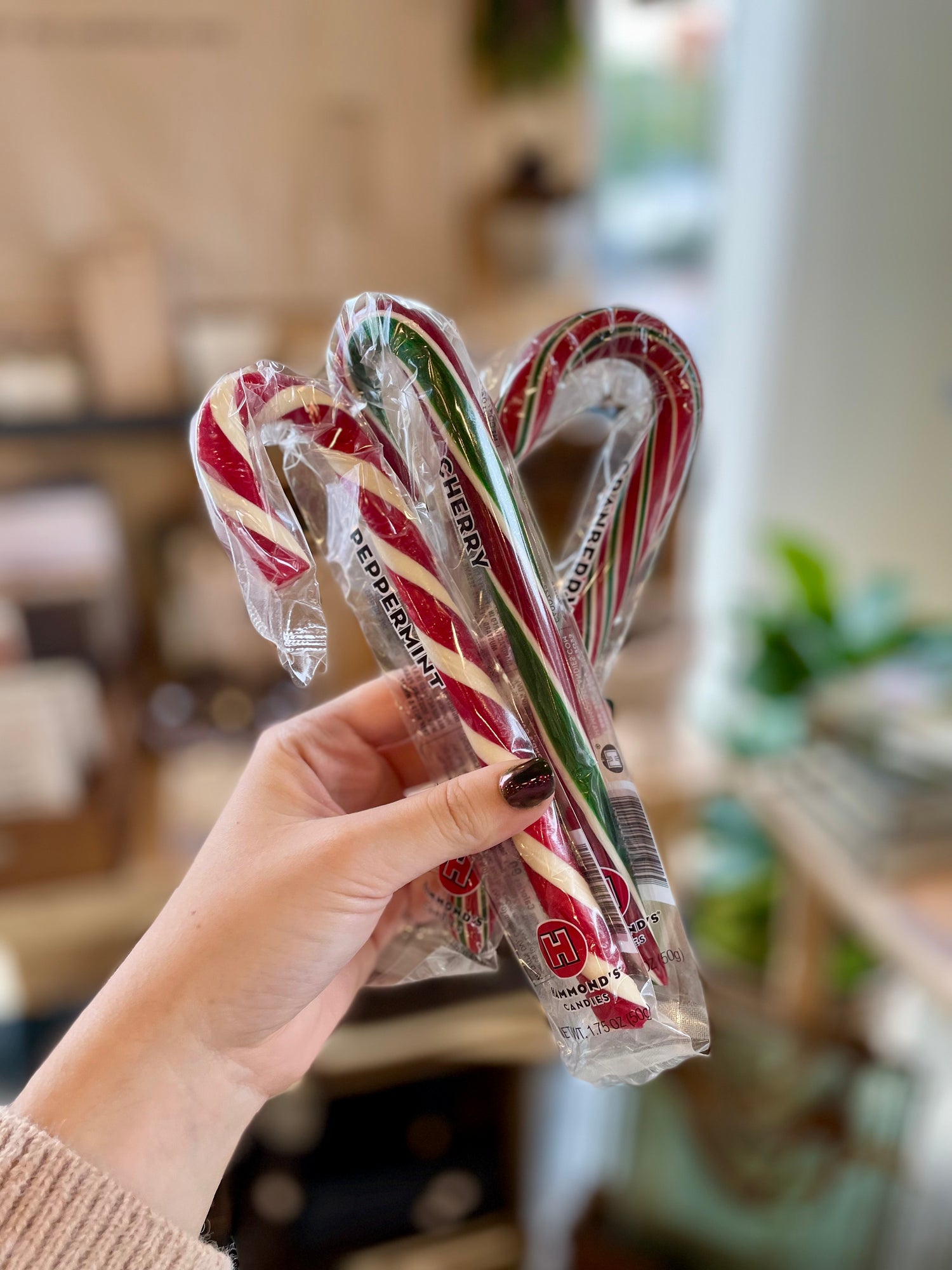 Hammond's Candies: Candy Cane
