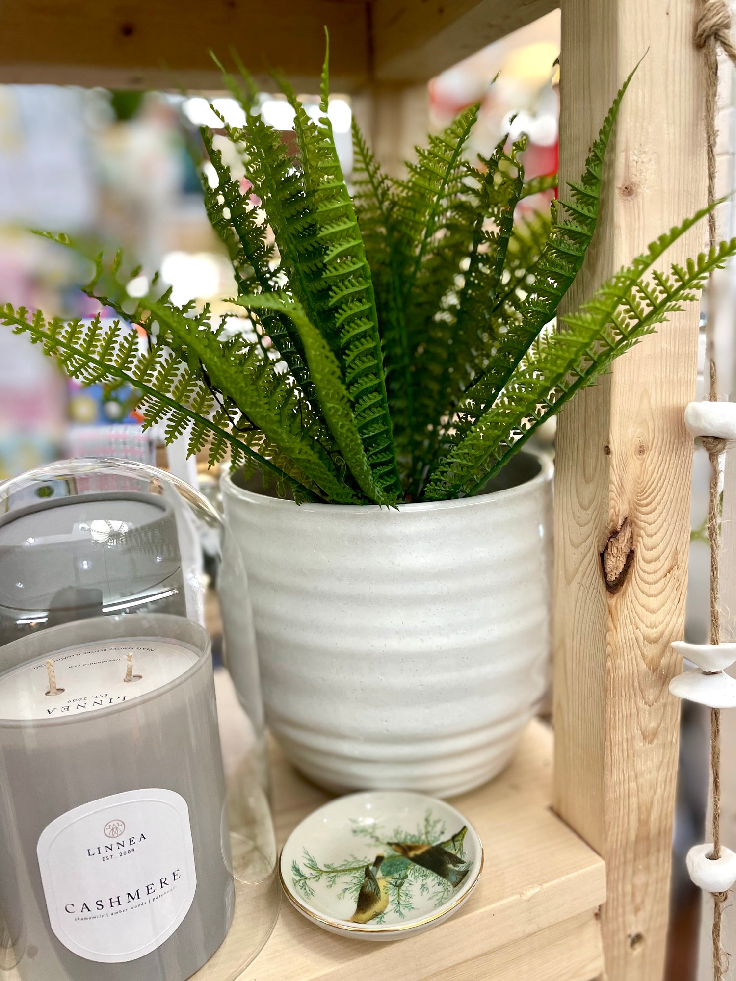 Bookshelf Planter