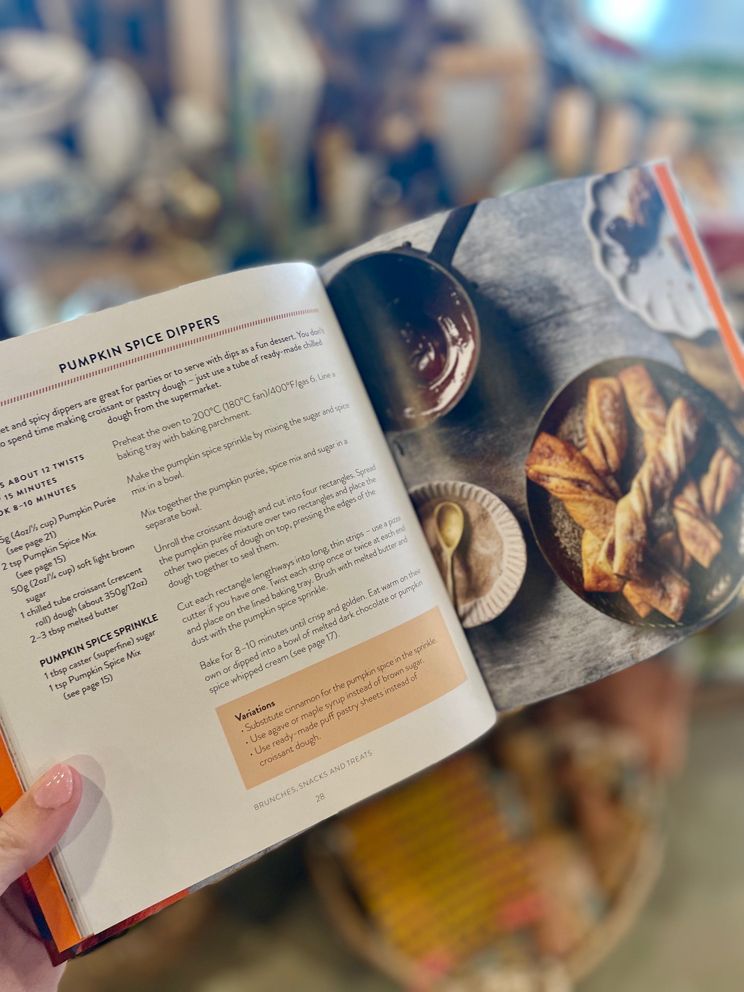 The Pumpkin Spice Cookbook