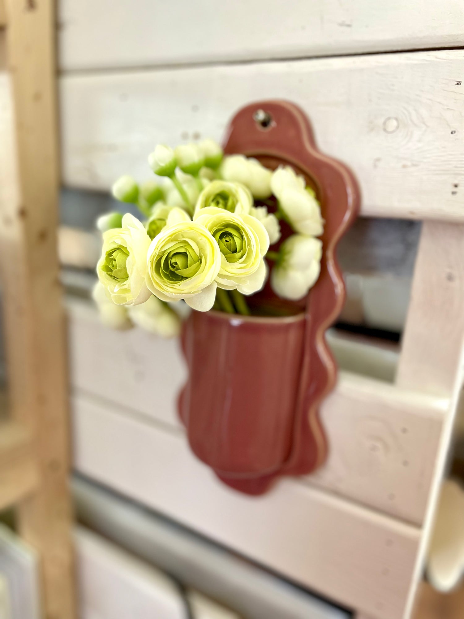 Ranunculus Cream Bundle 7 stems