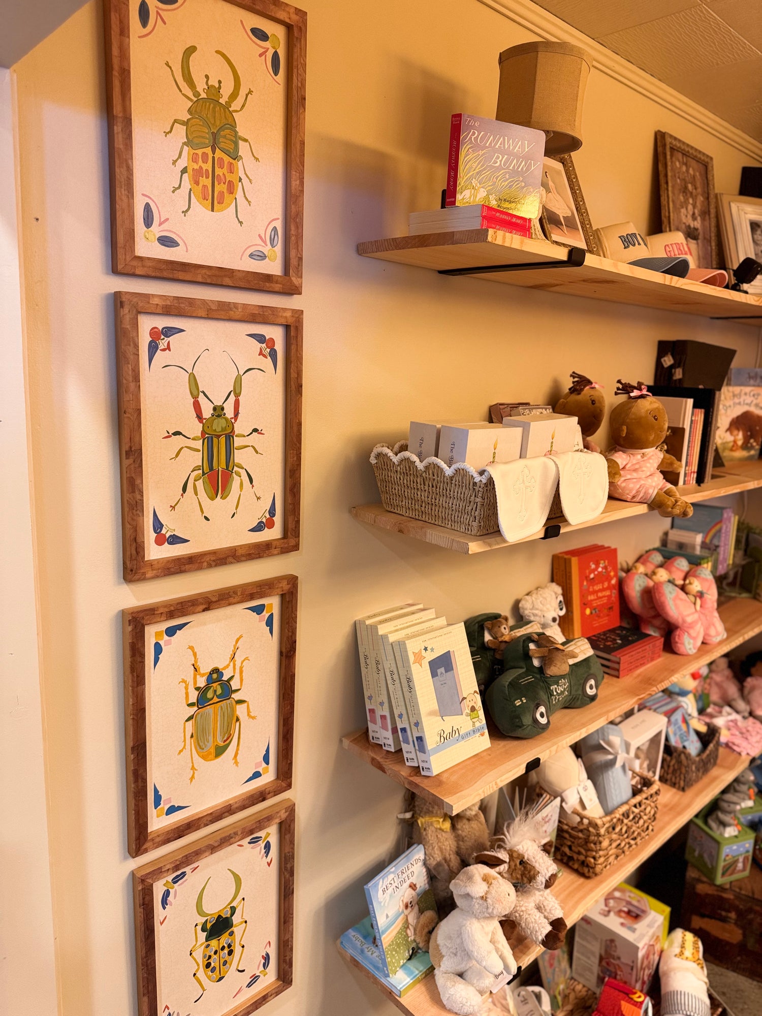 Framed Beetles Paintings