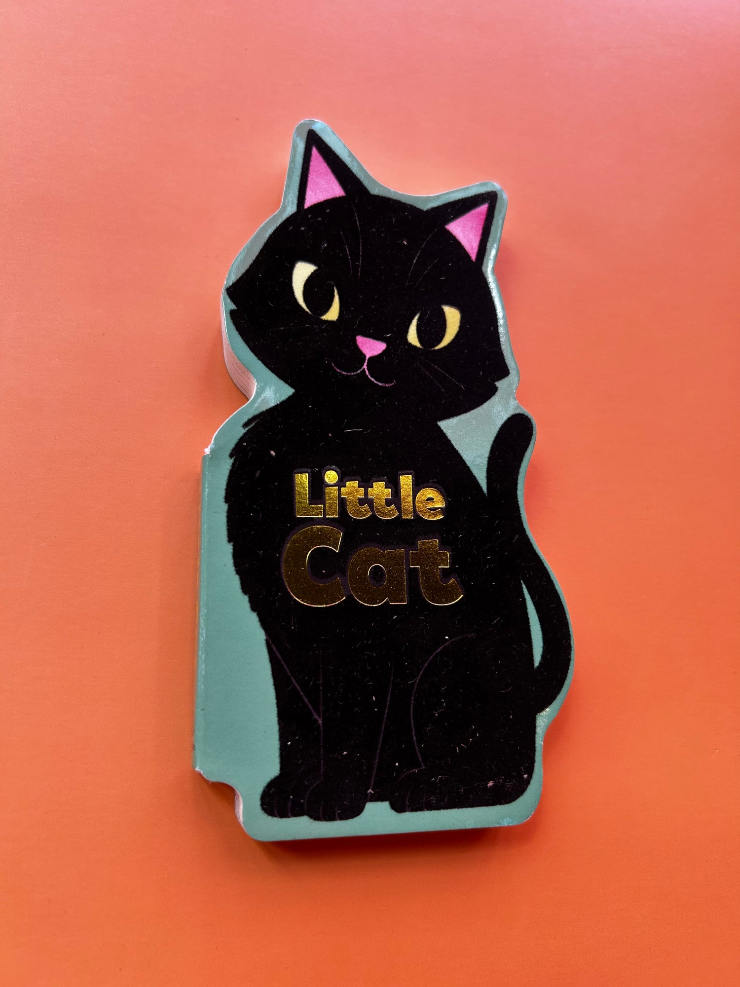 Little Cat Board Book