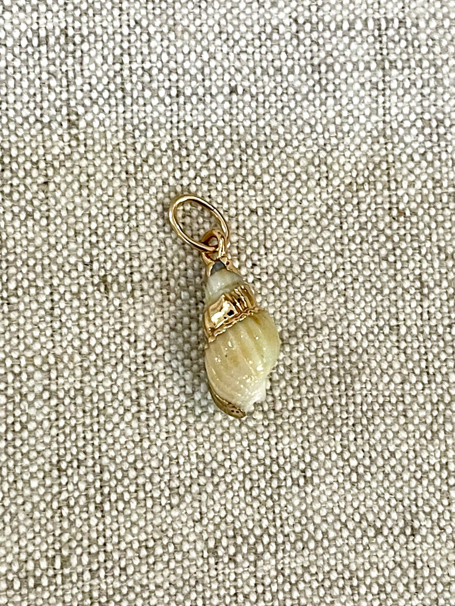 Seashell Gold Rim Charm