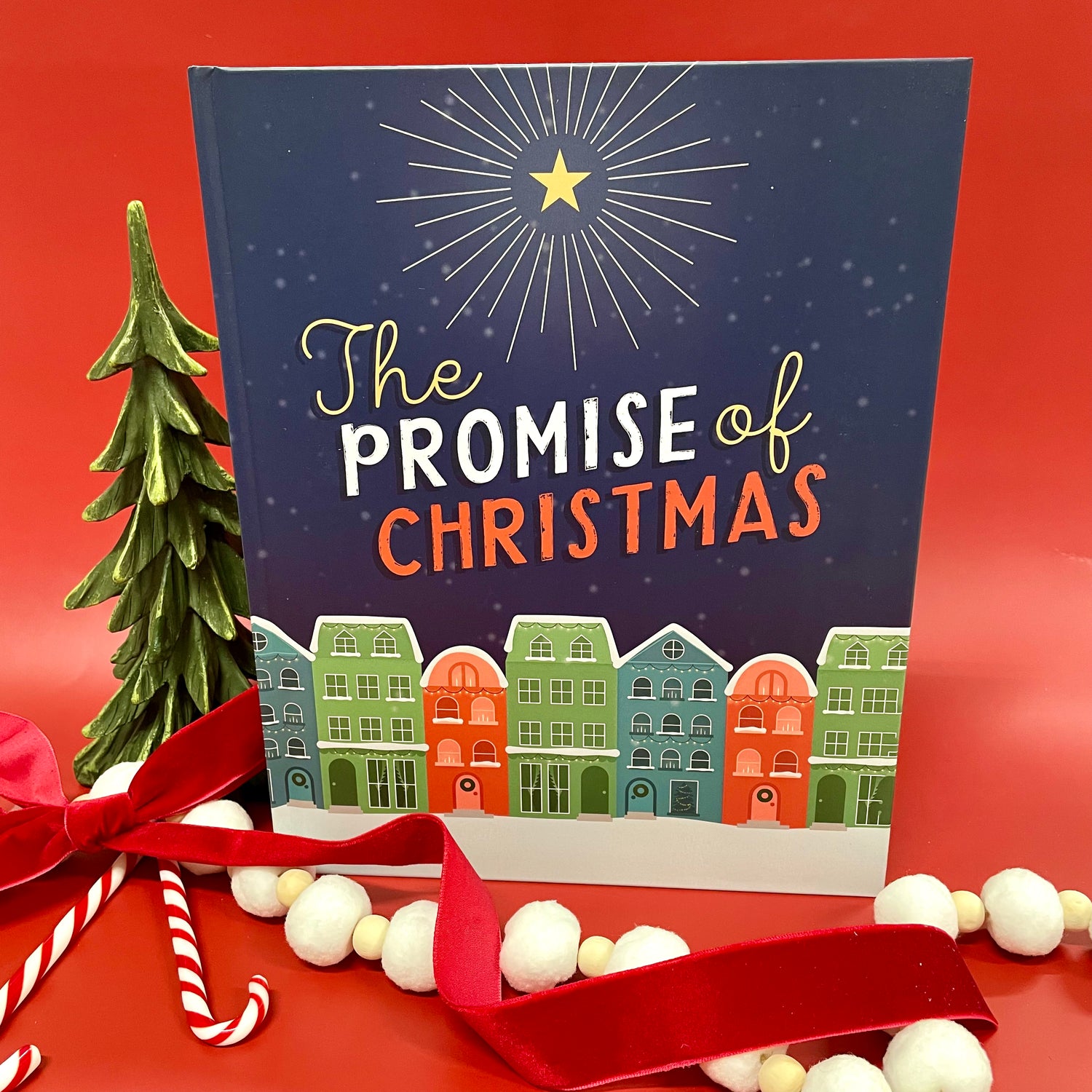 The Promise of Christmas Book Daily Grace Co