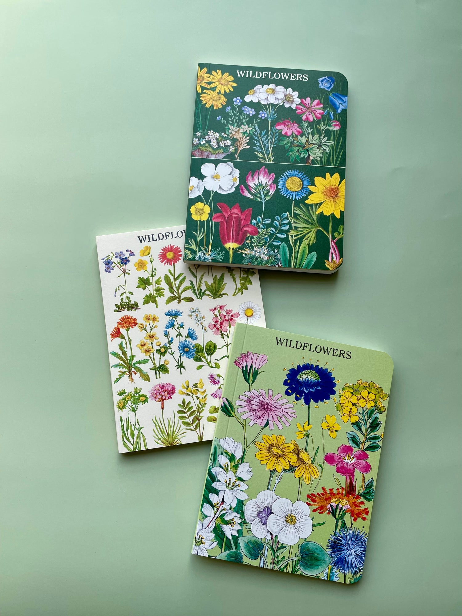 Mini Cavallini Notebook