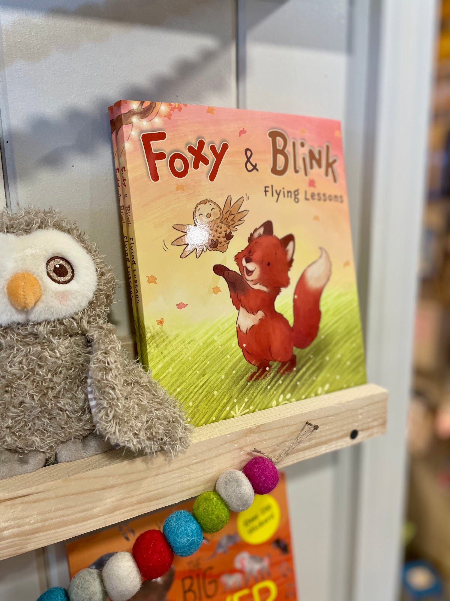 Foxy & Blink Flying Lessons Story Book