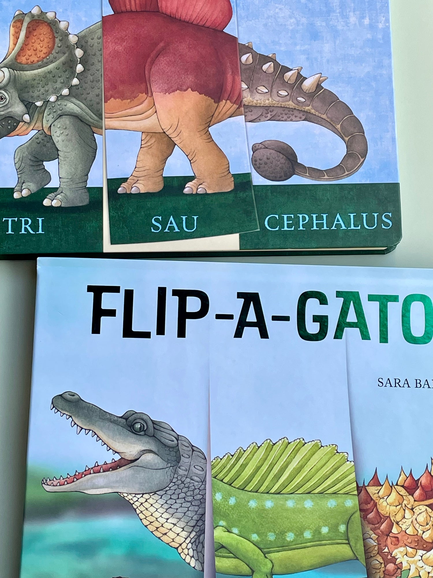 Flip O Gator Book