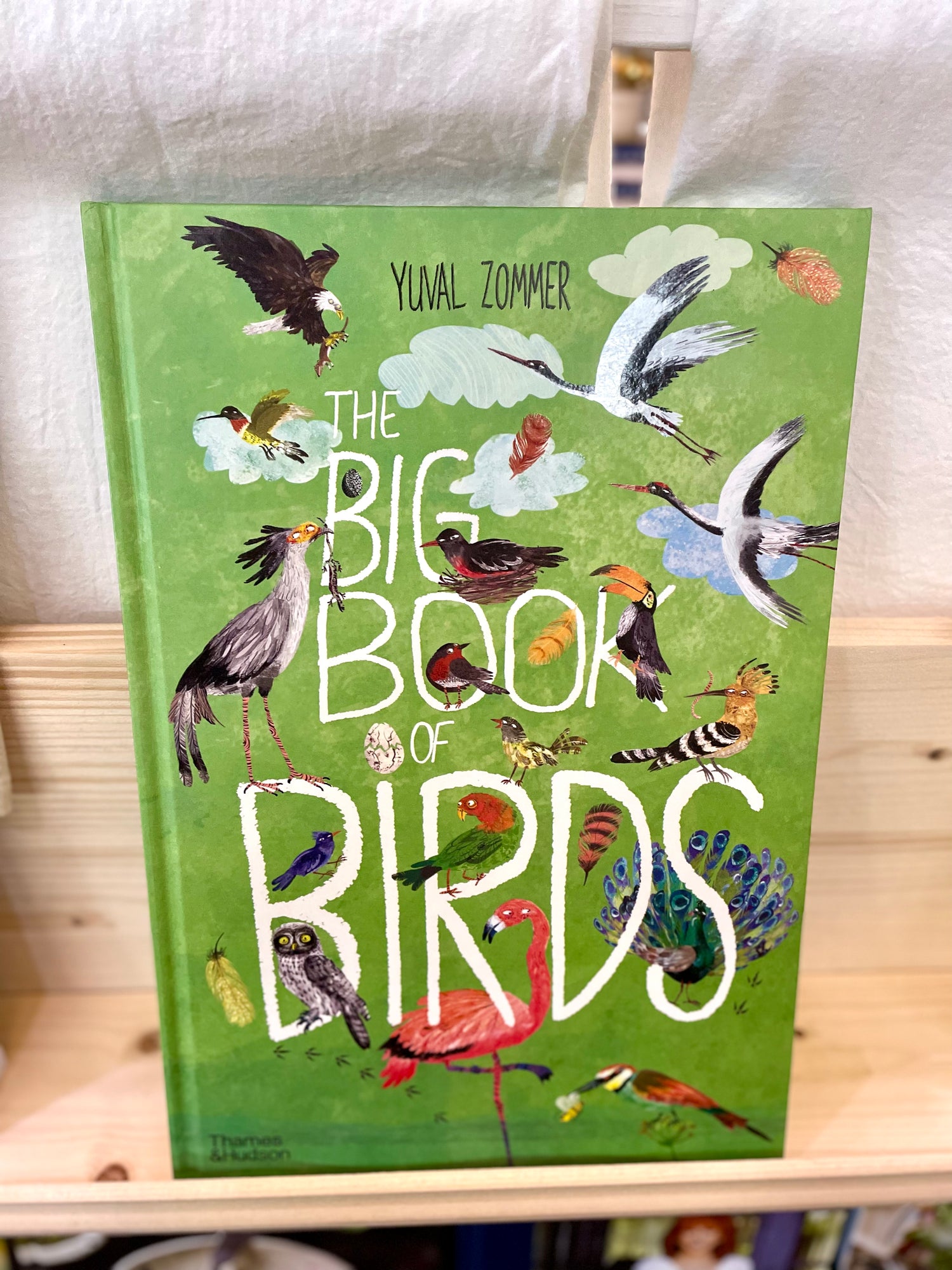 Big Book of Birds