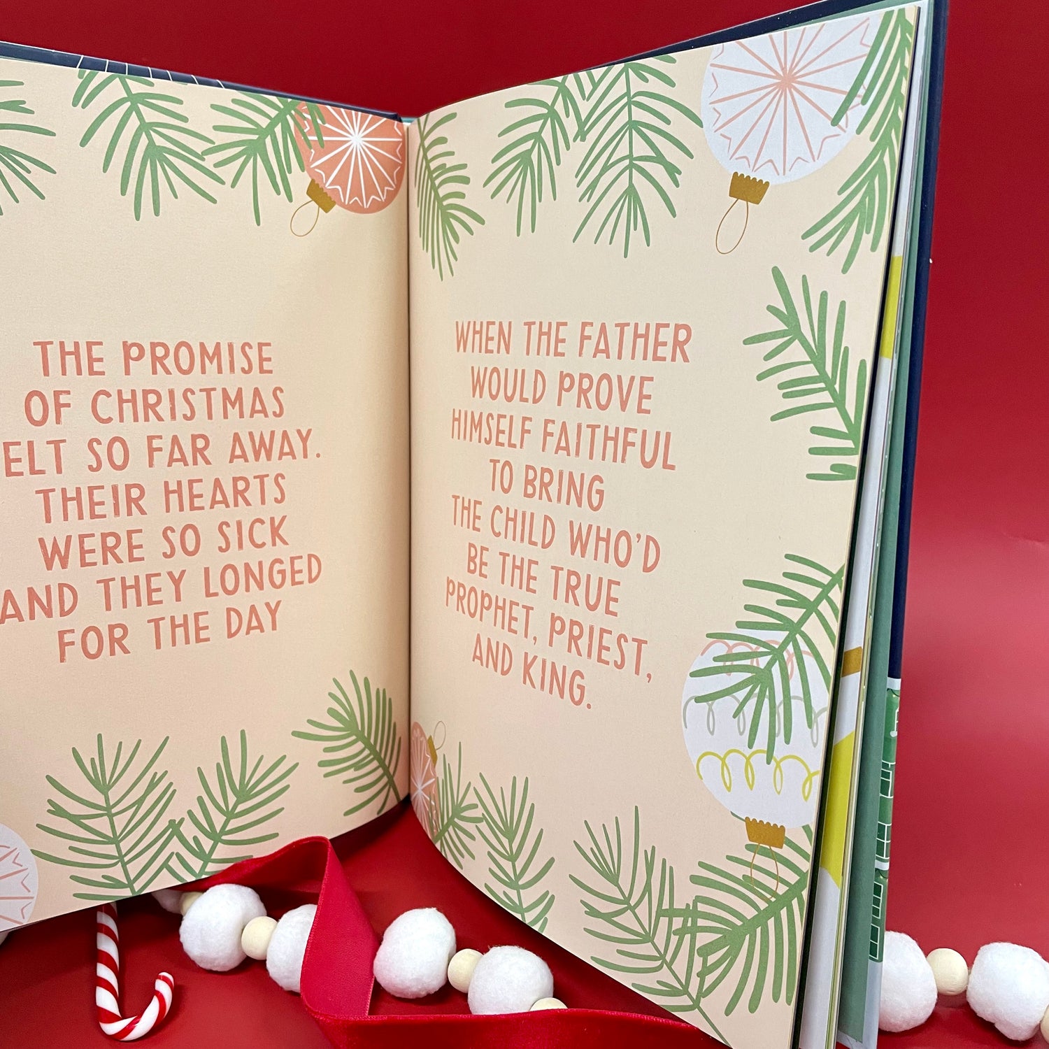 The Promise of Christmas Book Daily Grace Co