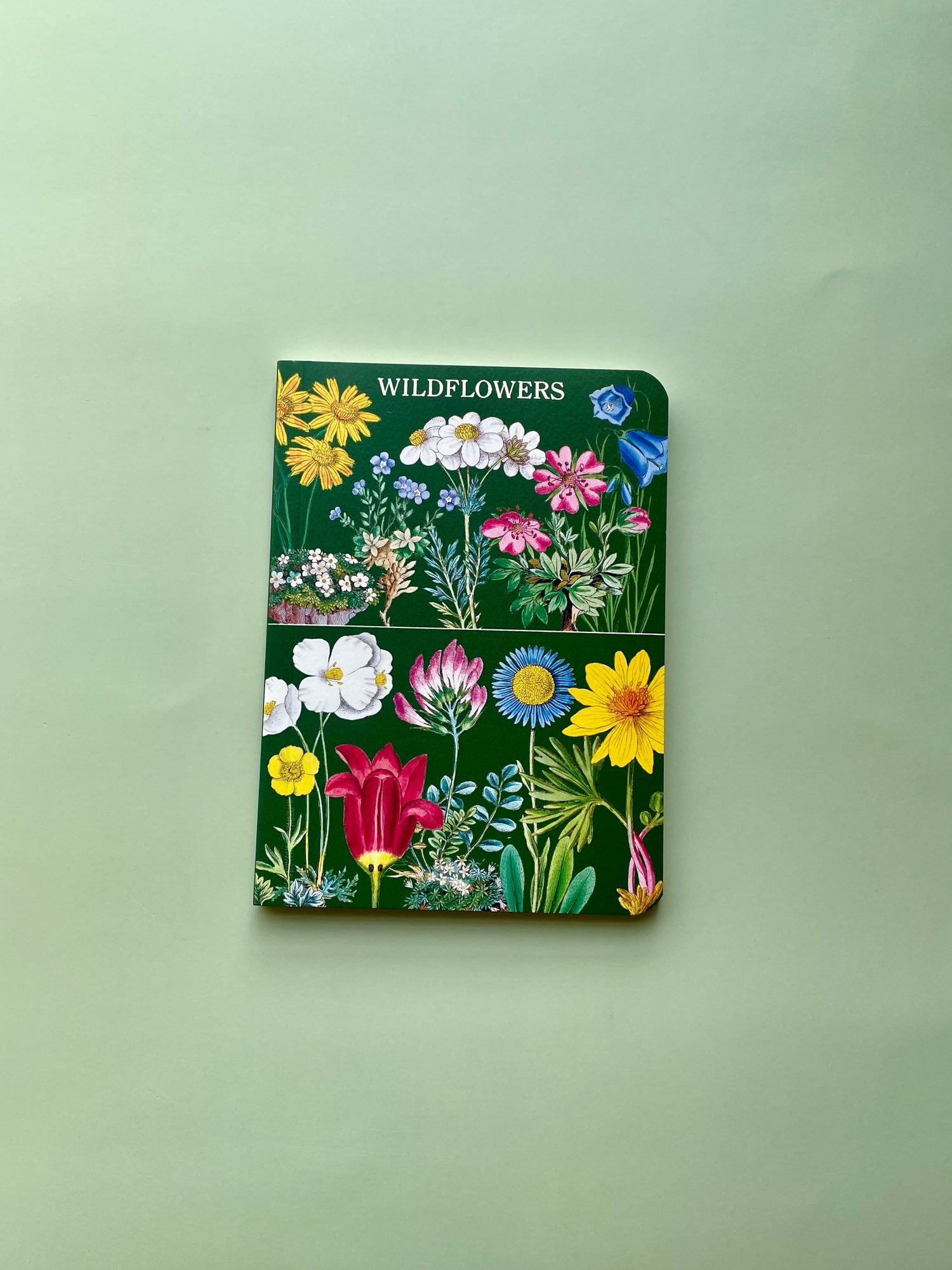 Mini Cavallini Notebook