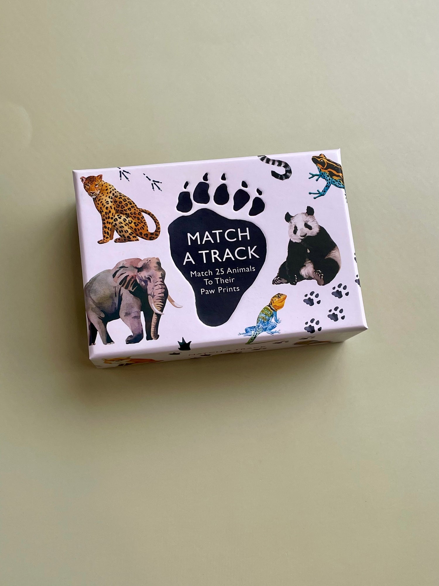 Match A Track Animal Paw Prints