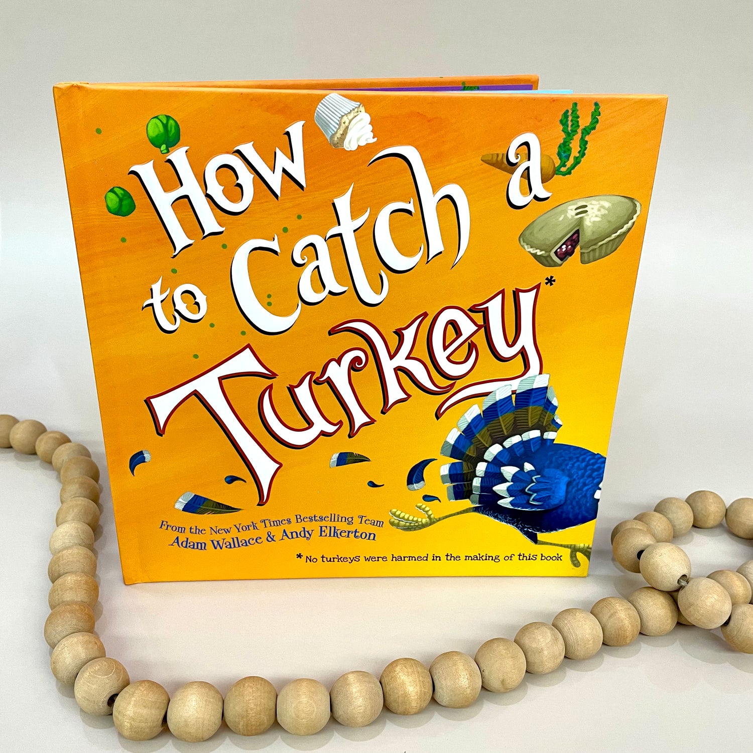 Book How to catch a Turkey