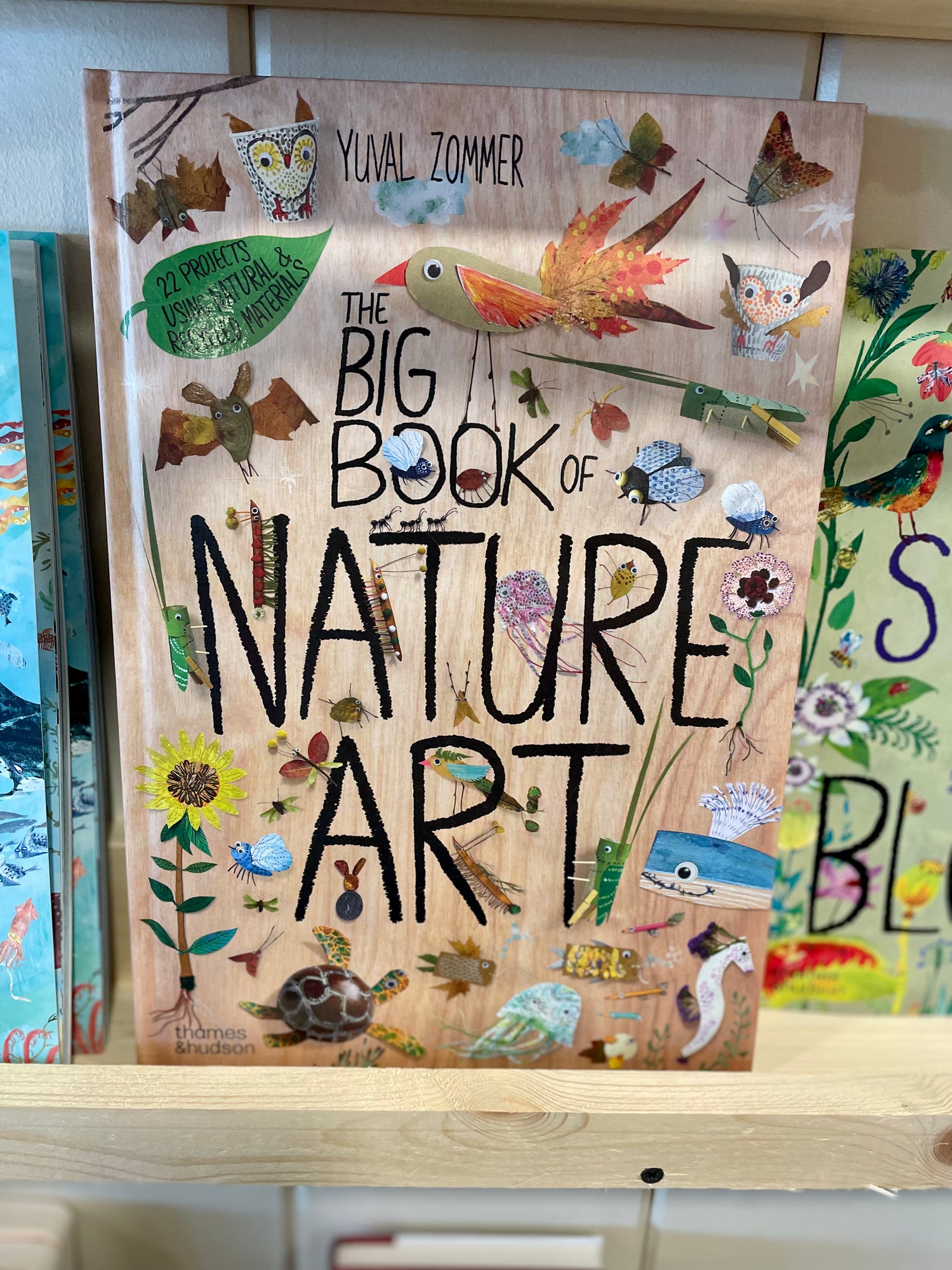 Big Book of Nature Art