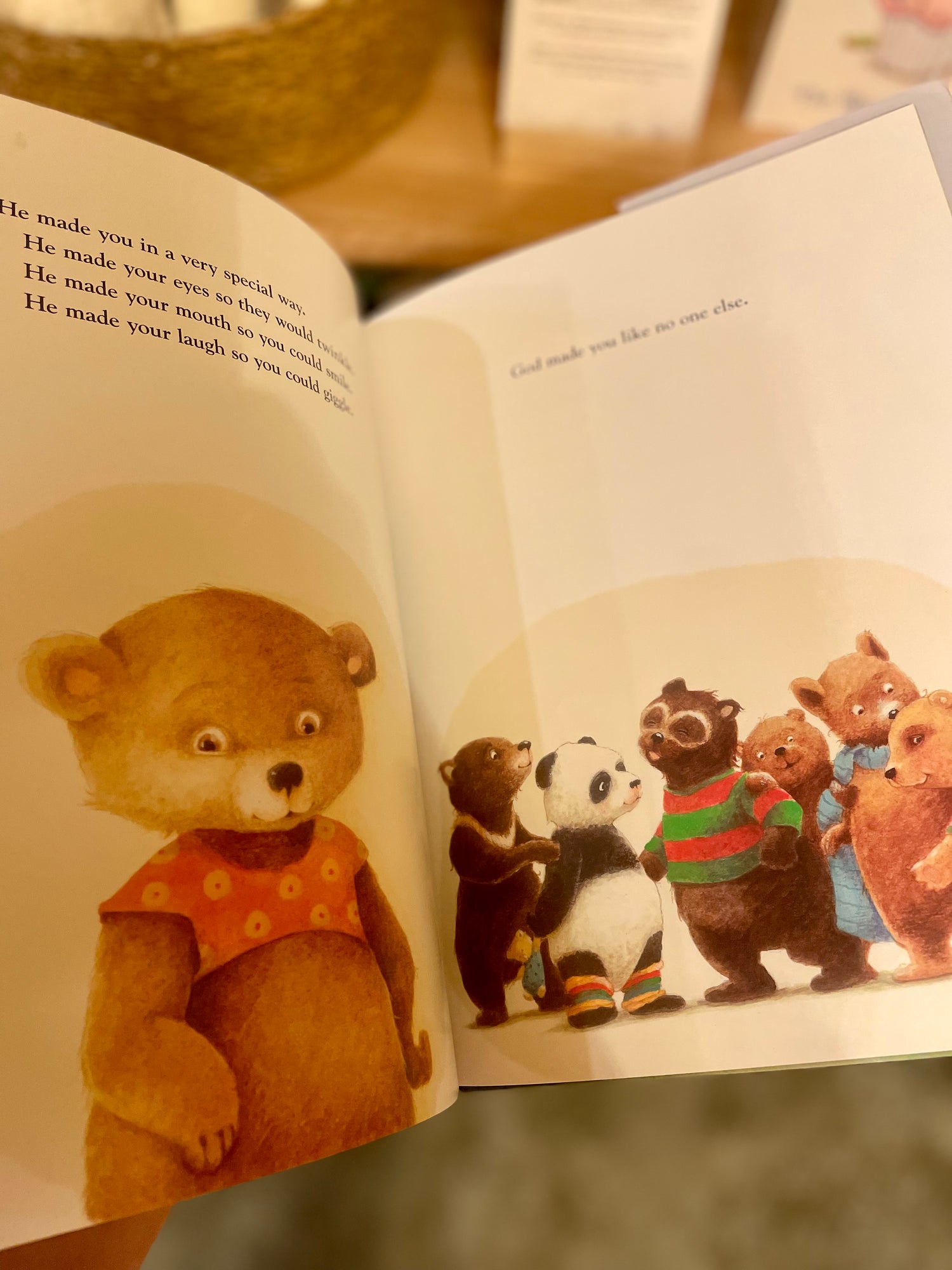 Just In Case You Ever Wonder Board Book