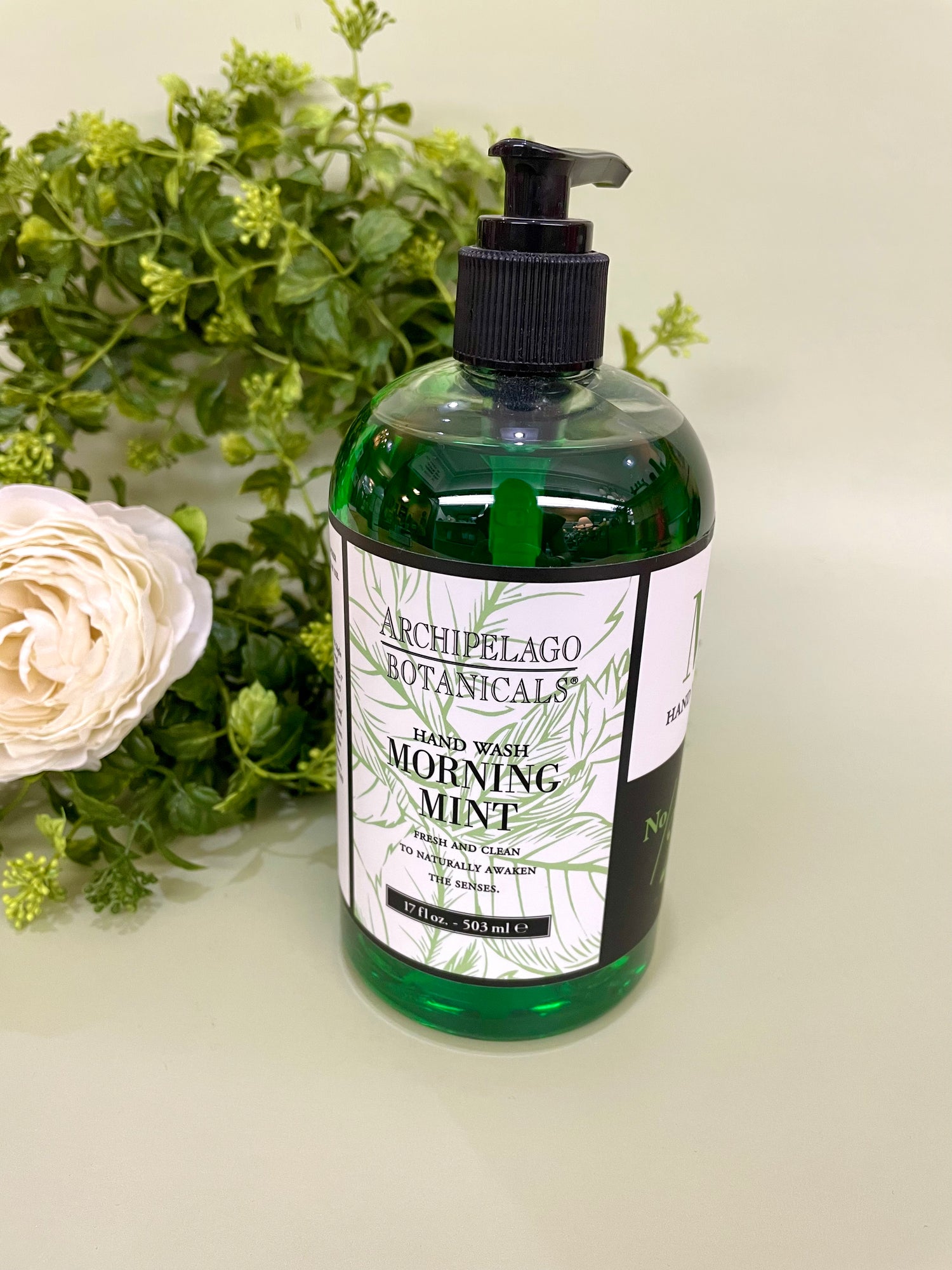 Archipelago Mint HandWash 17oz