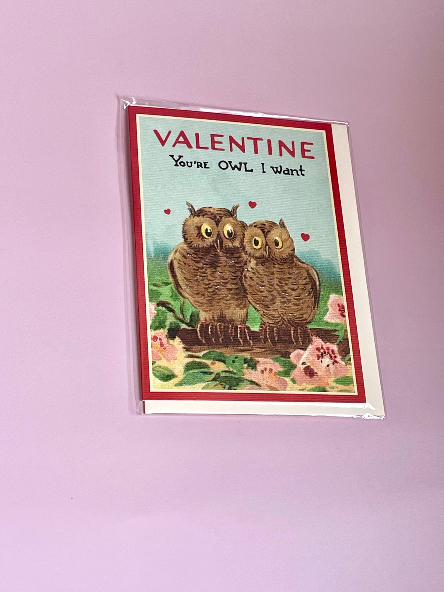 Valentine Owls Greeting Card