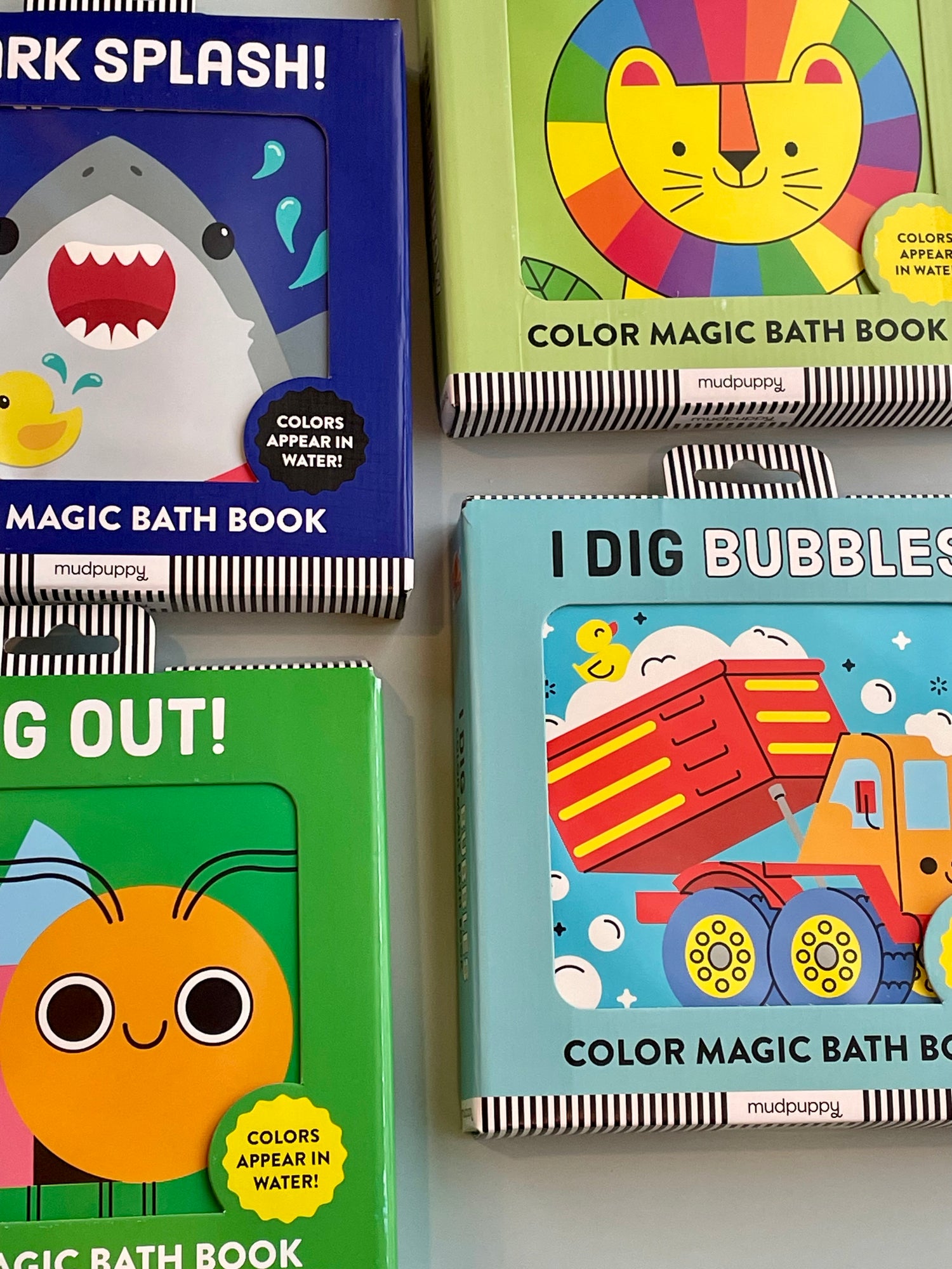 Wild Rainbow Color Magic Bath Book