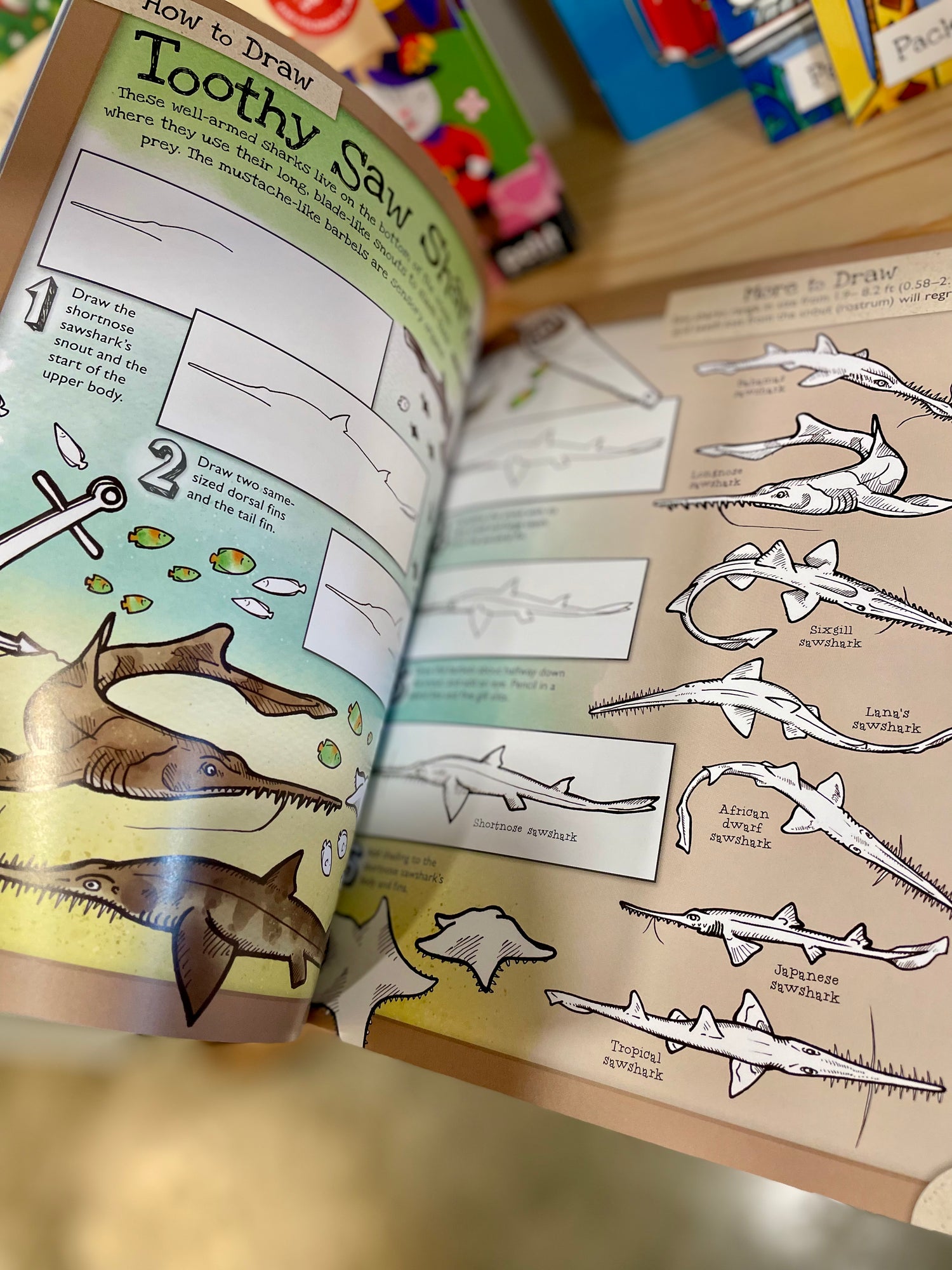 How to Draw Incredible Sharks and Other Ocean Giants