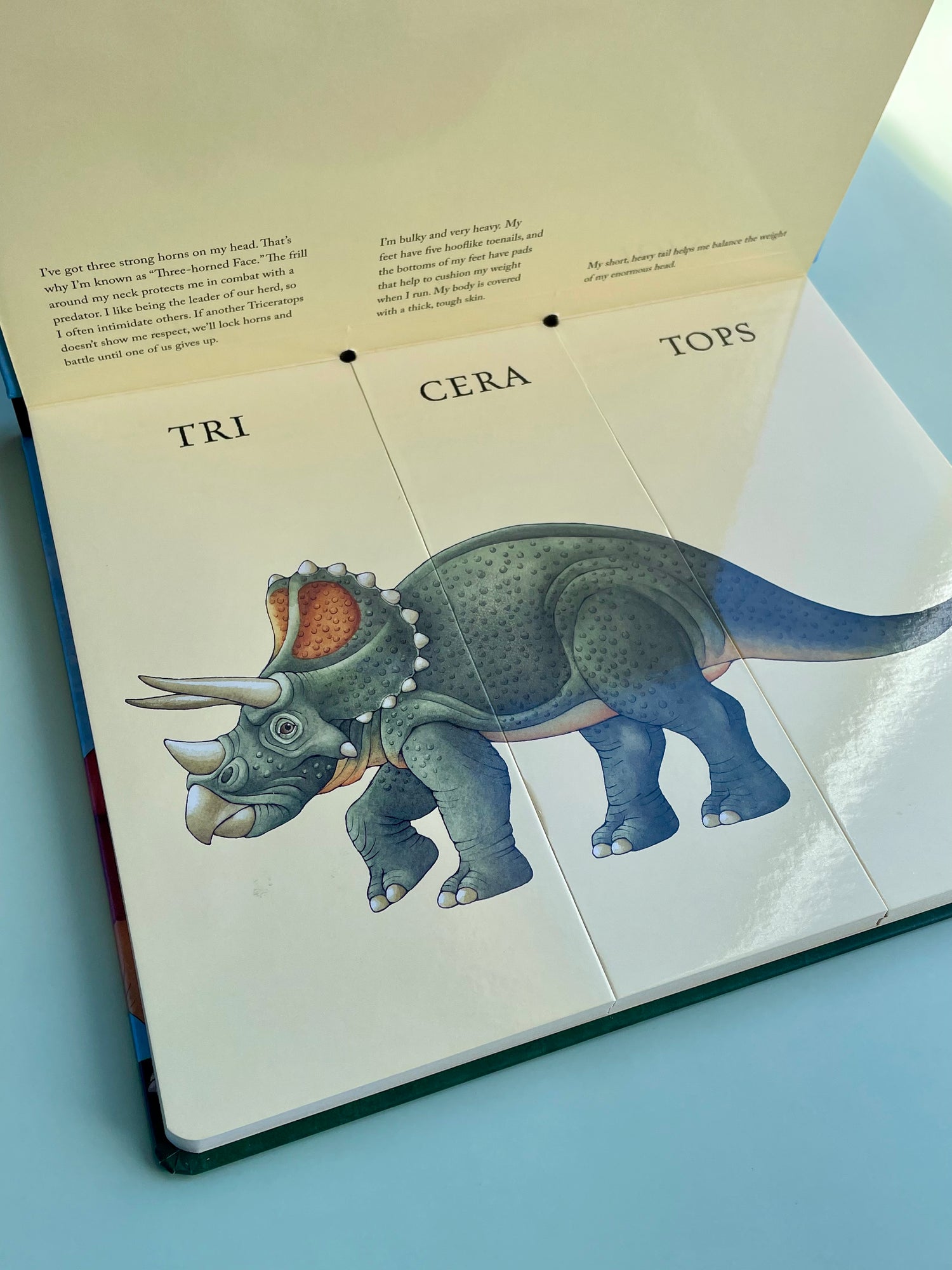 Flip O Saurus Book