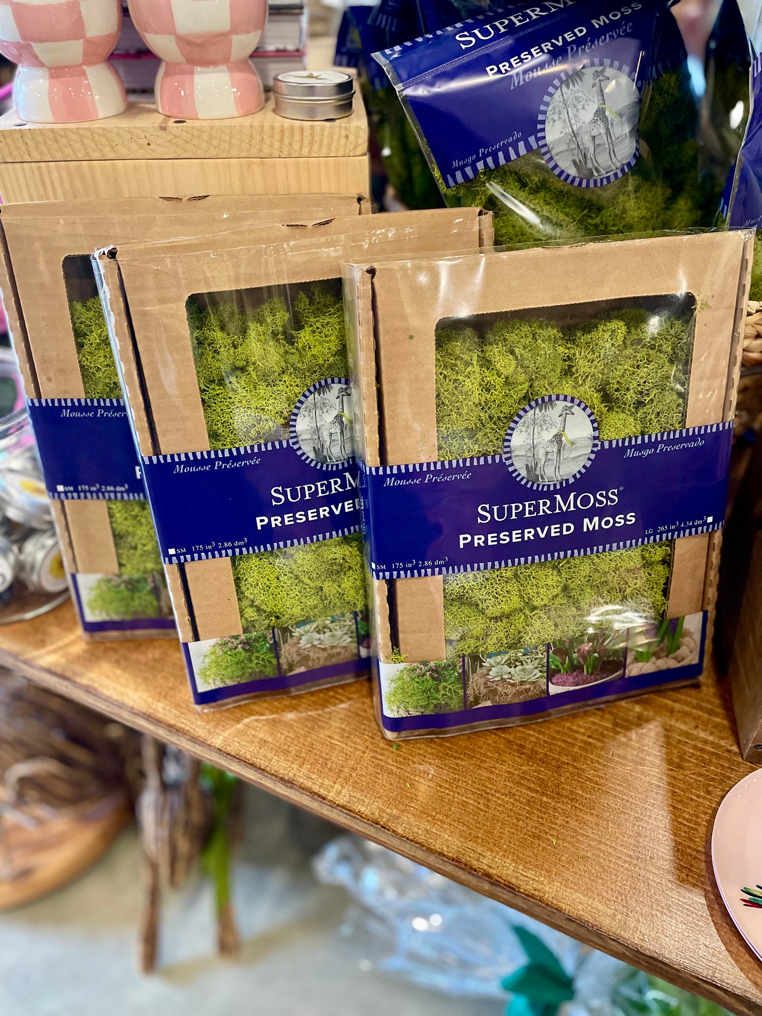 Reindeer Moss