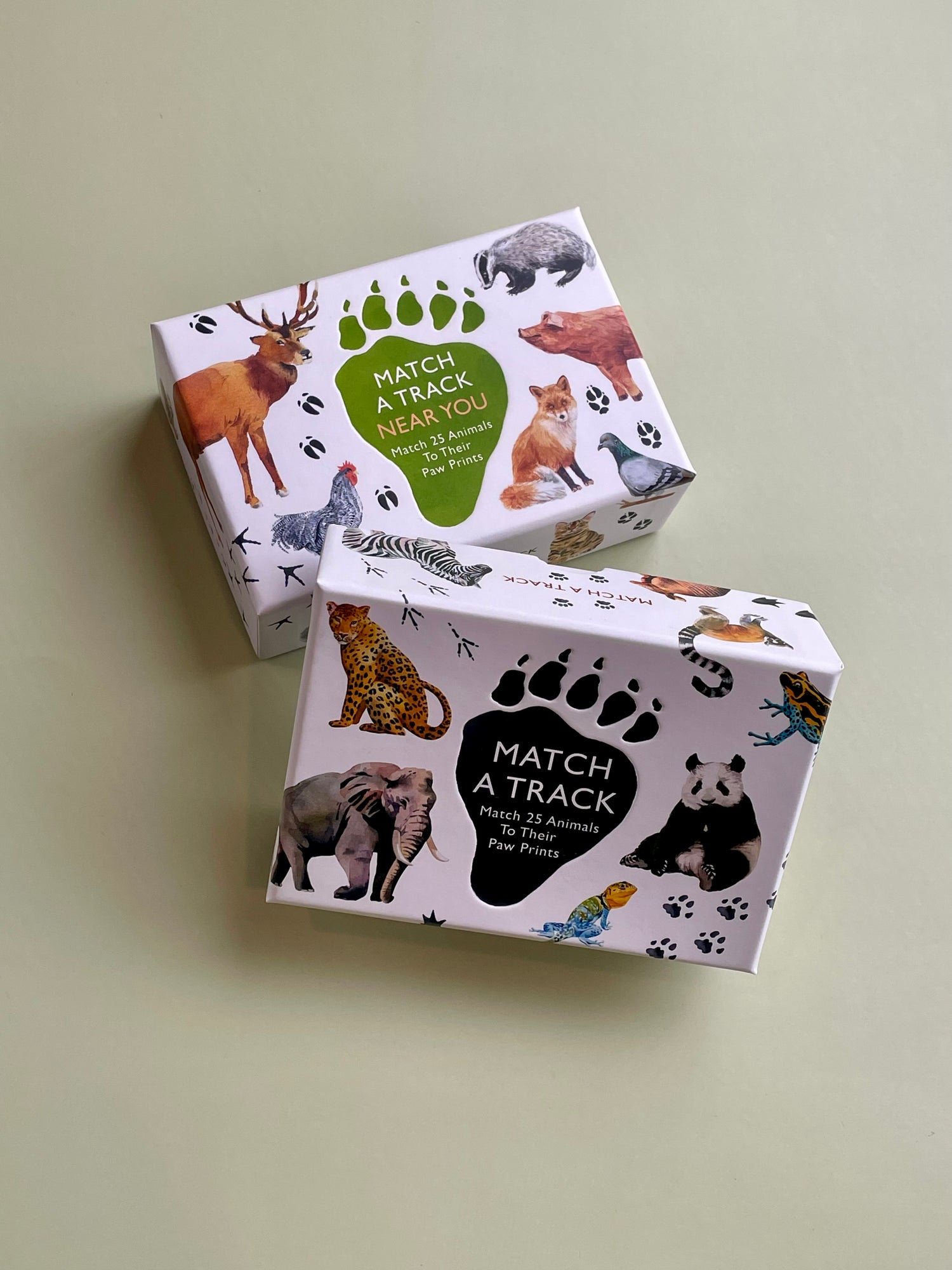 Match A Track Animal Paw Prints