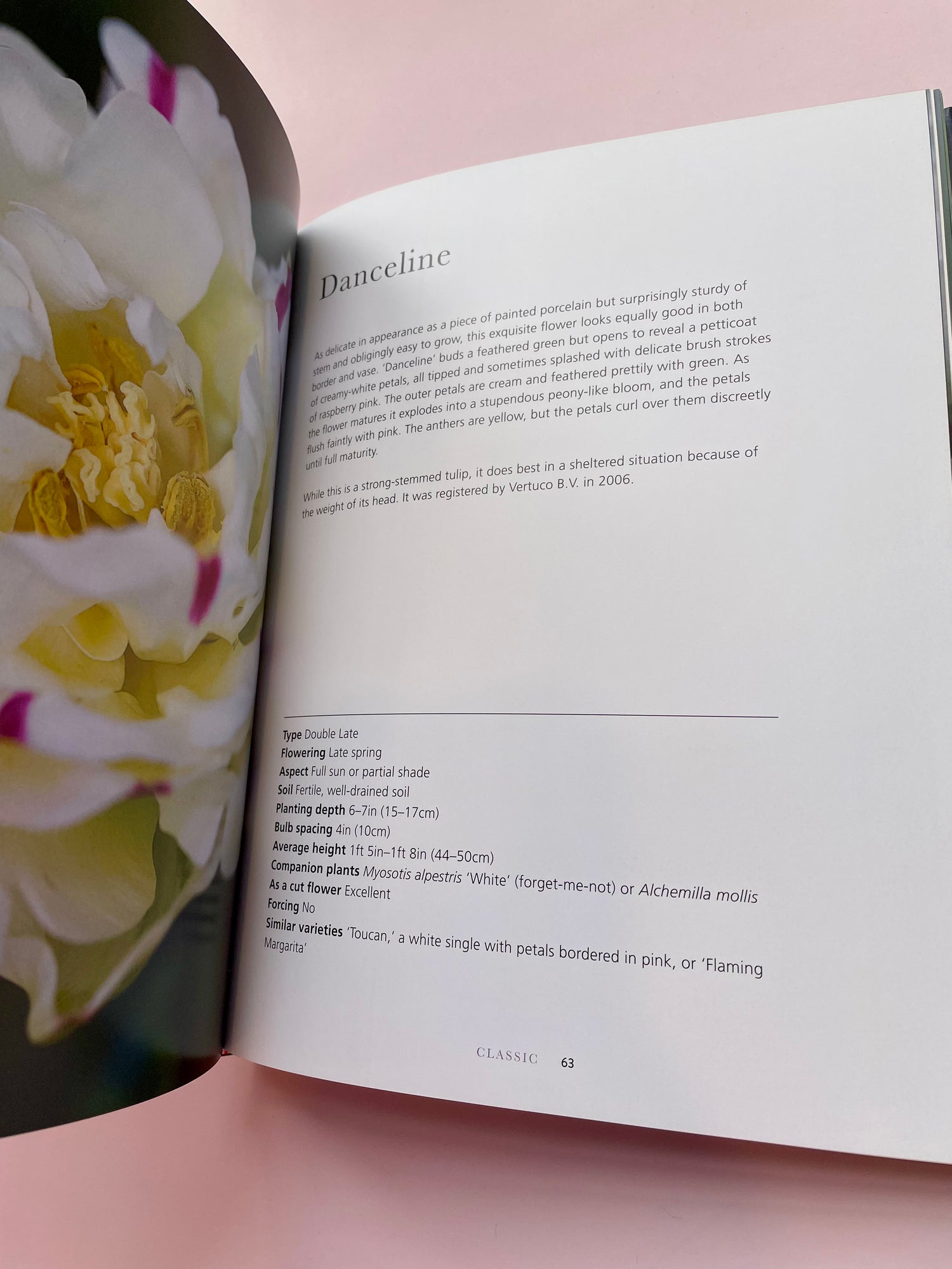 Tulips Book