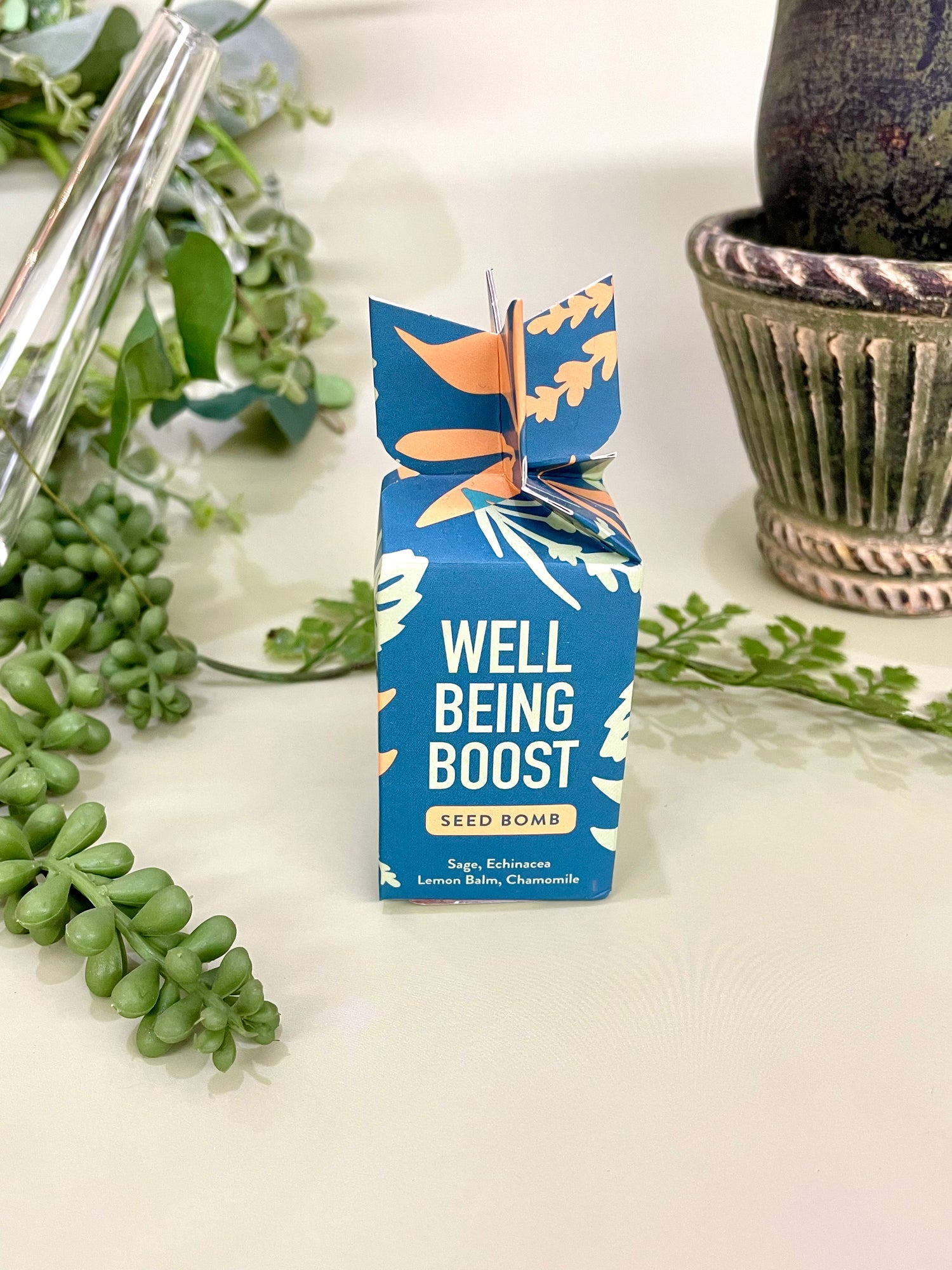 Seed Bombs Well Being Boost Modern Sprout