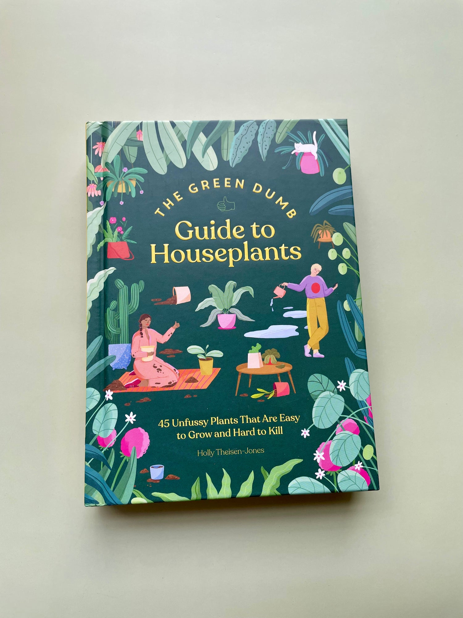 Guide to Houseplants