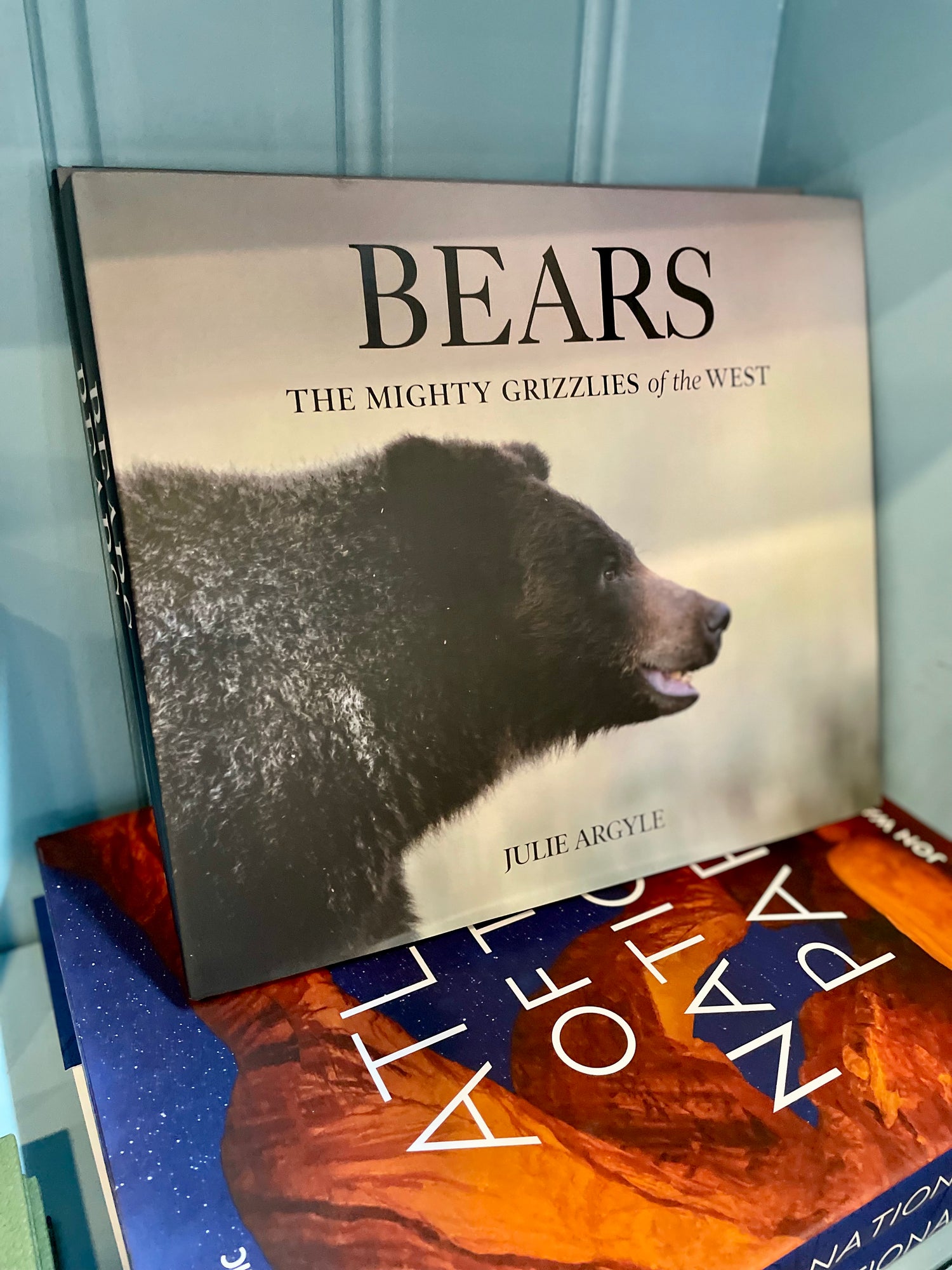 Bears