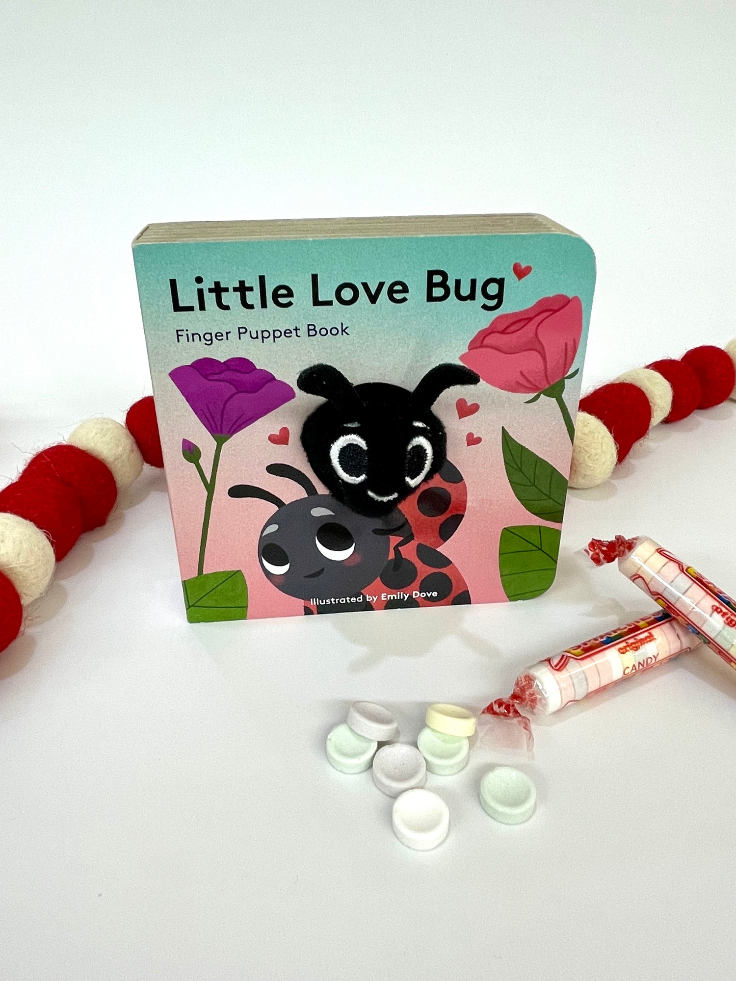 Little Love Bug Board Book