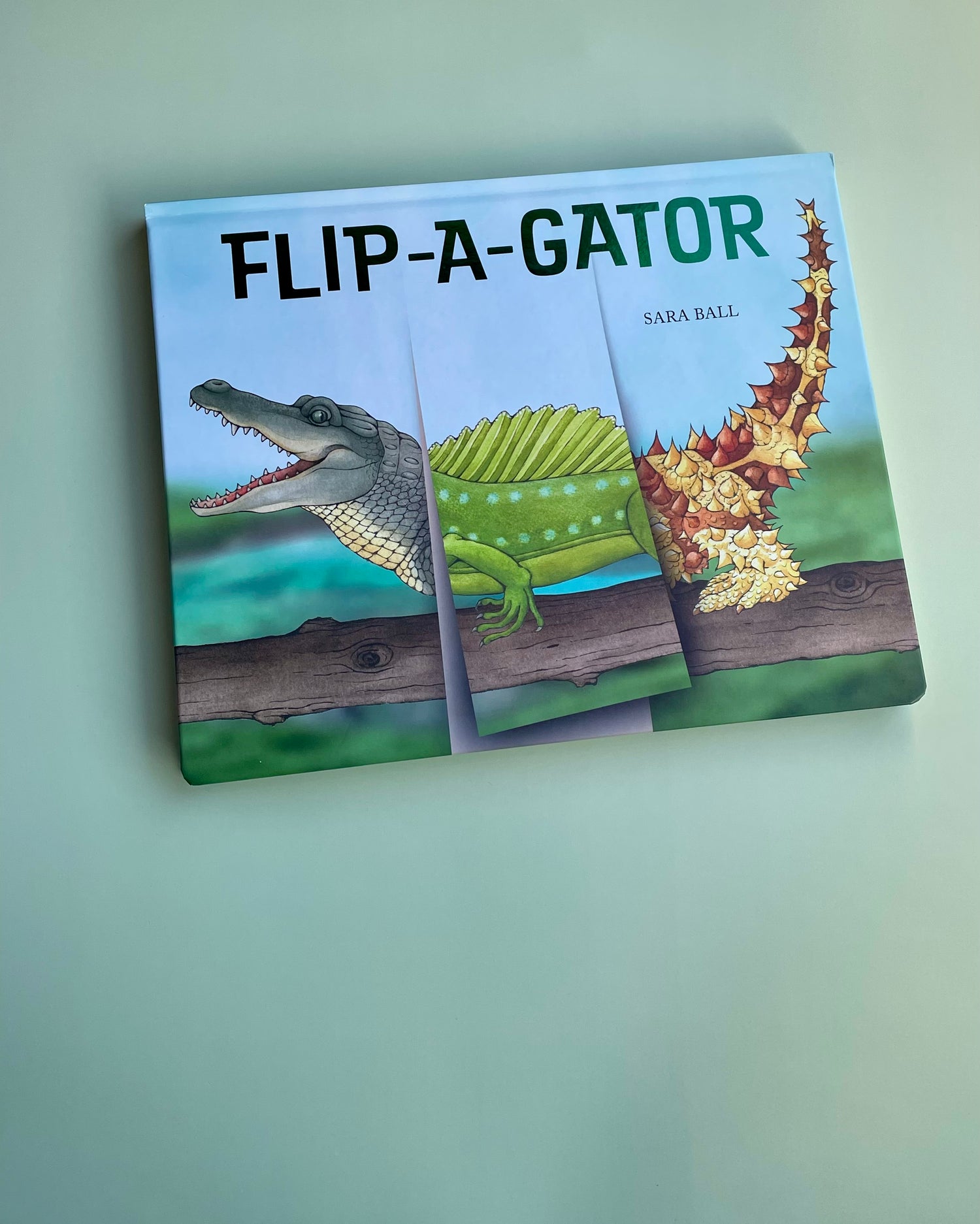 Flip O Gator Book