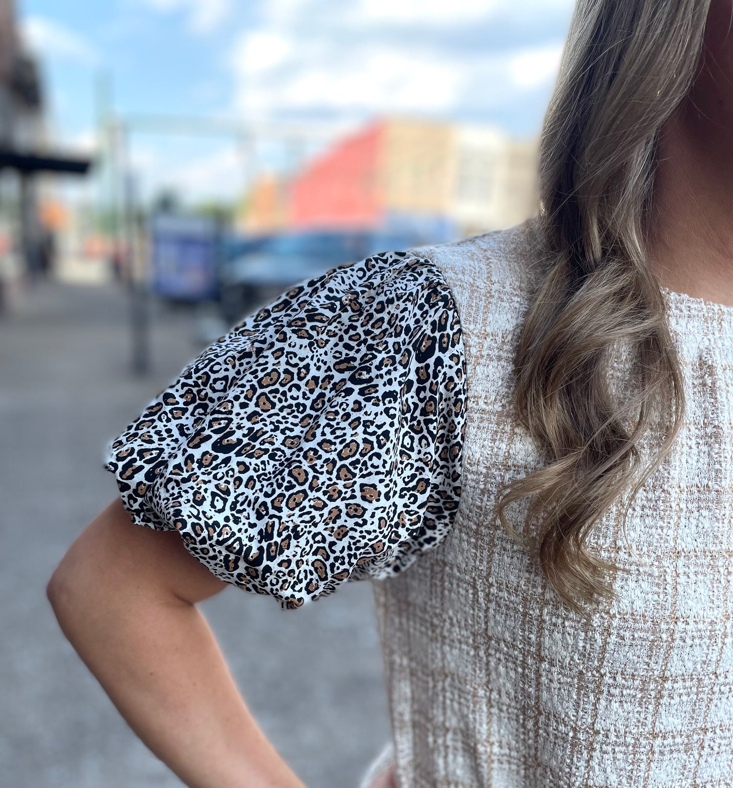 Leopard Sleeve Dress