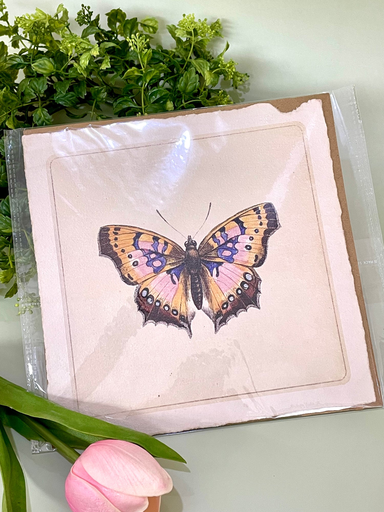 Pink Butterfly Wall Paper Print