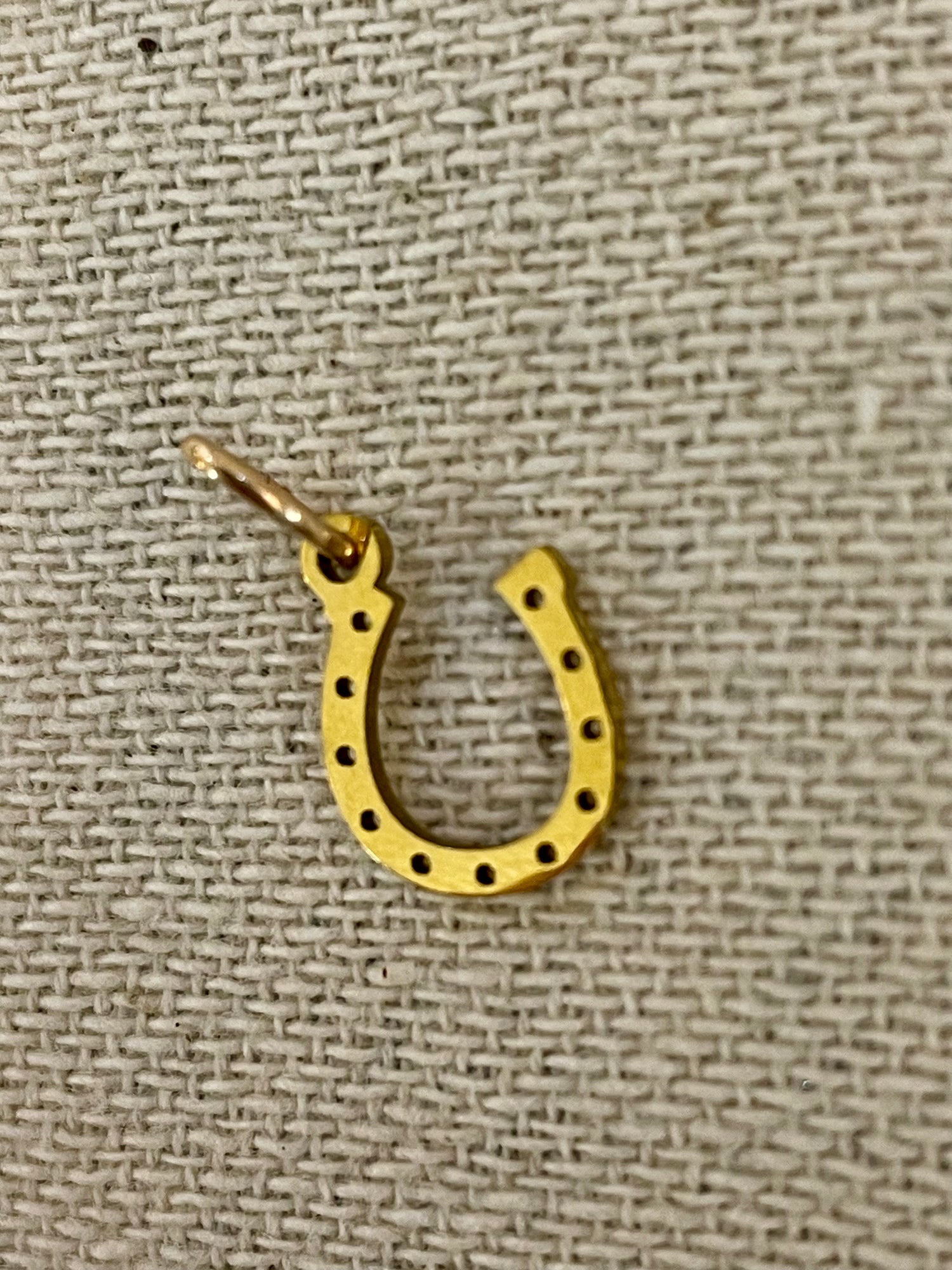 Horseshoe Charm