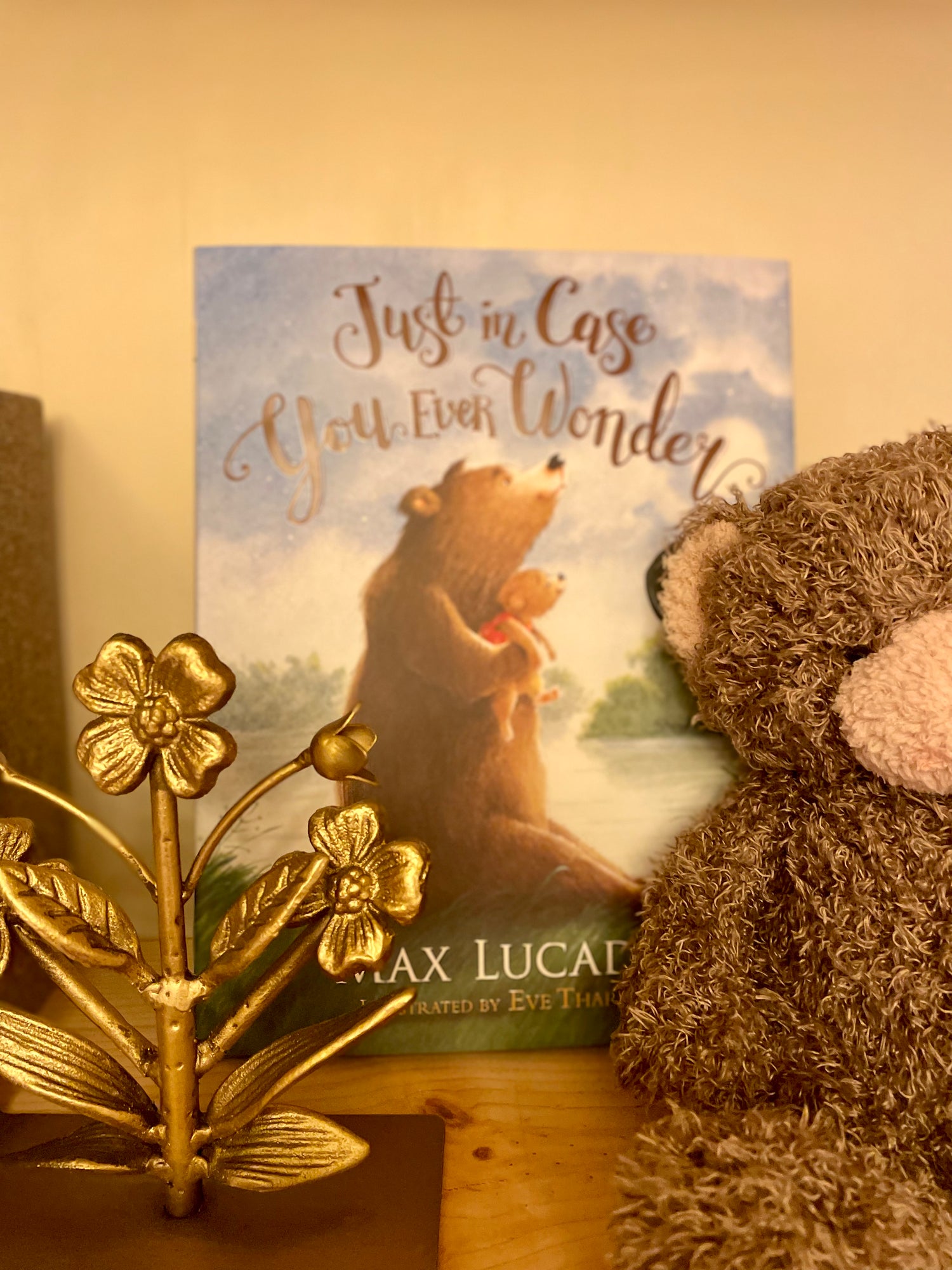 Just In Case You Ever Wonder Board Book