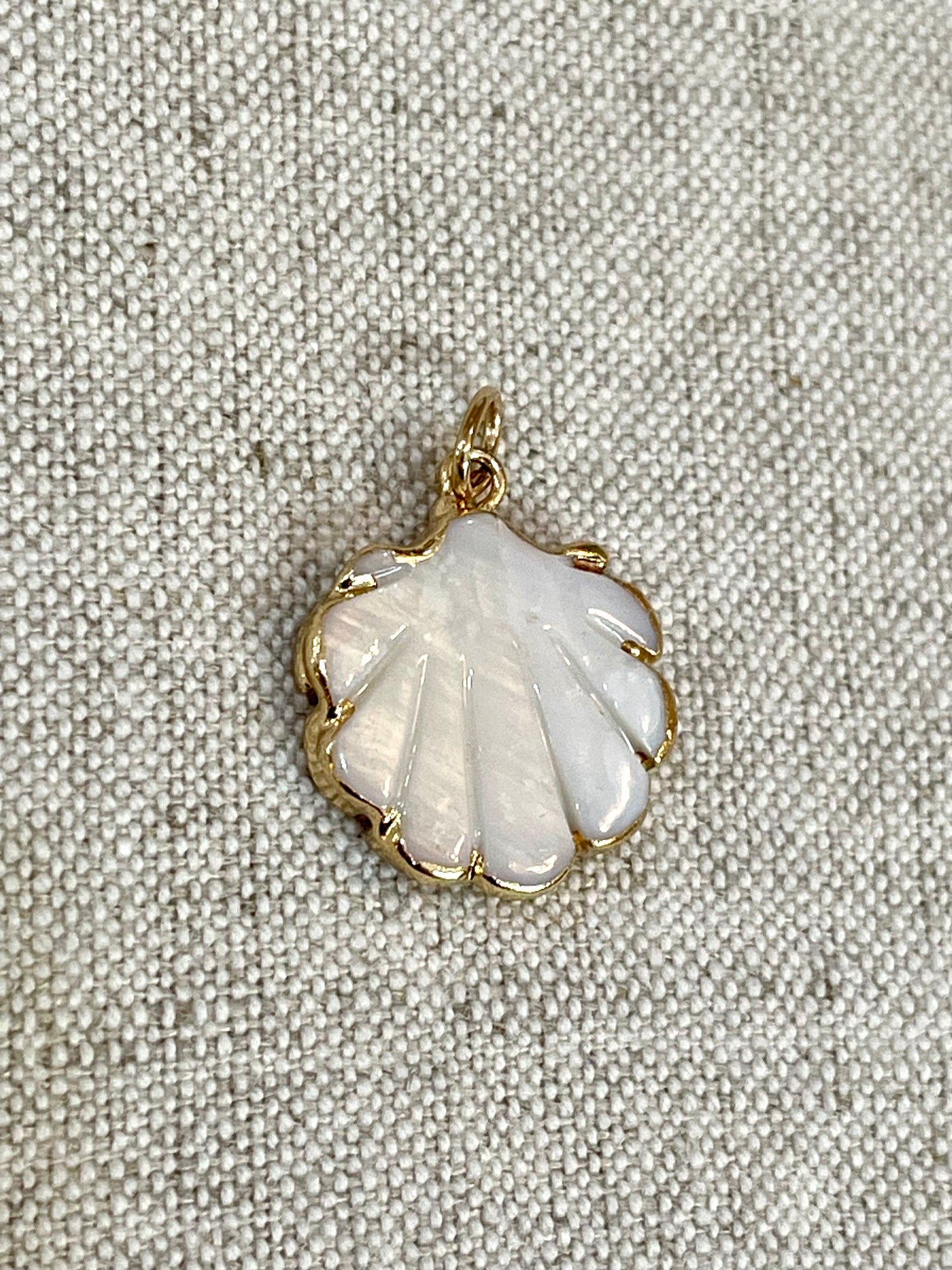 Freshwater Shell Charm