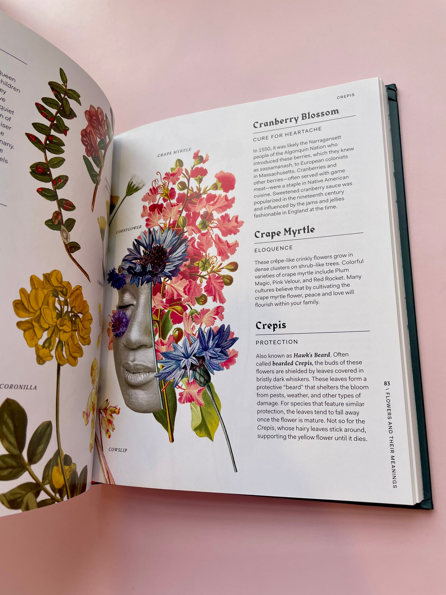 Flowers and Their Meanings