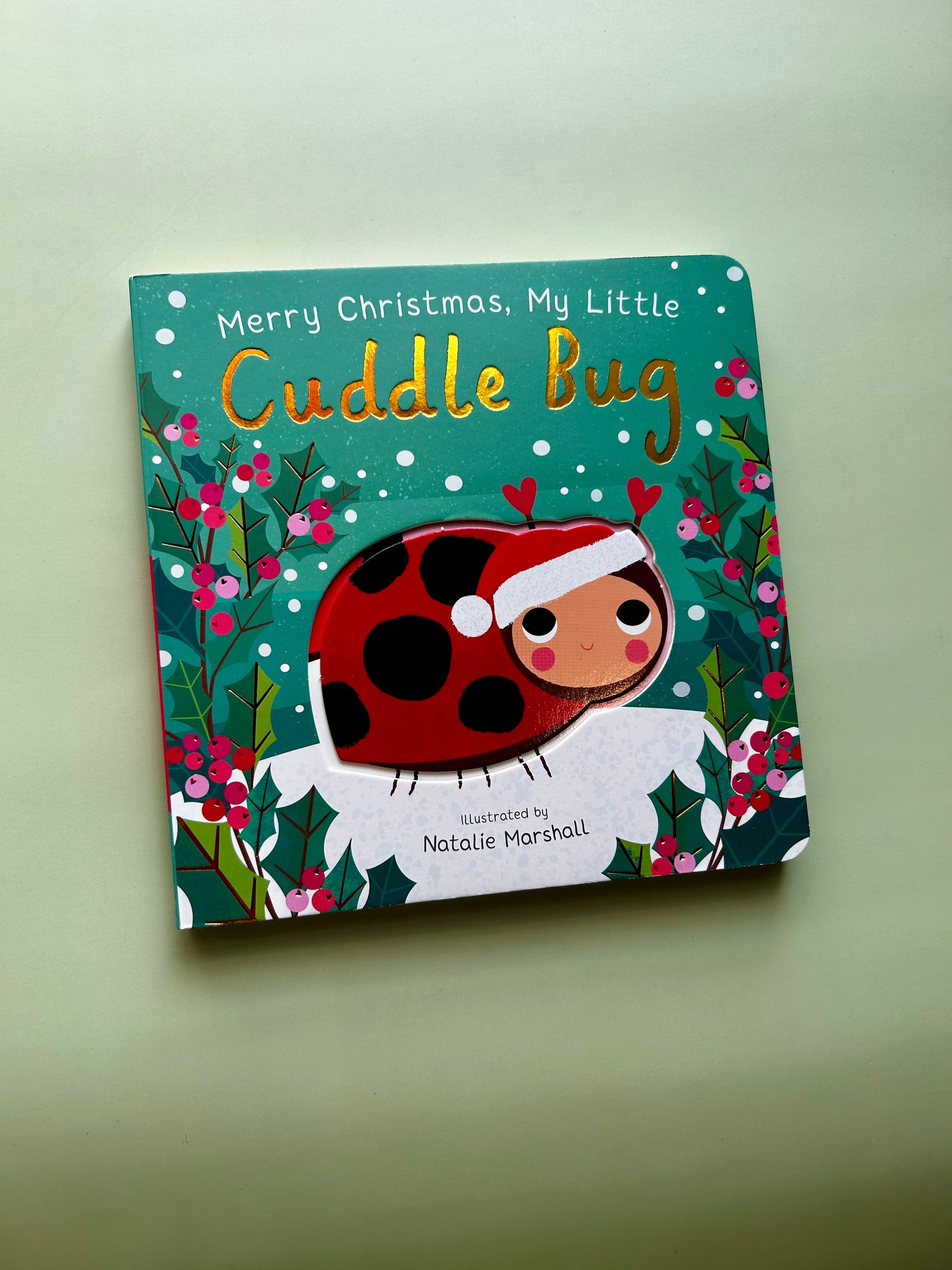 Merry Christmas, My Little Cuddle Bug Board Book