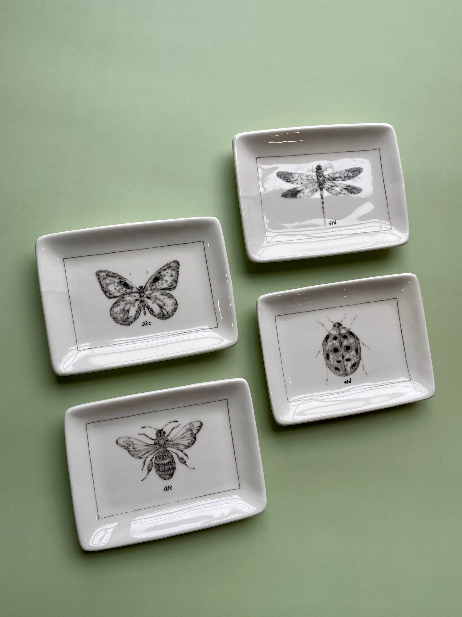 Ceramic Dish with Insect
