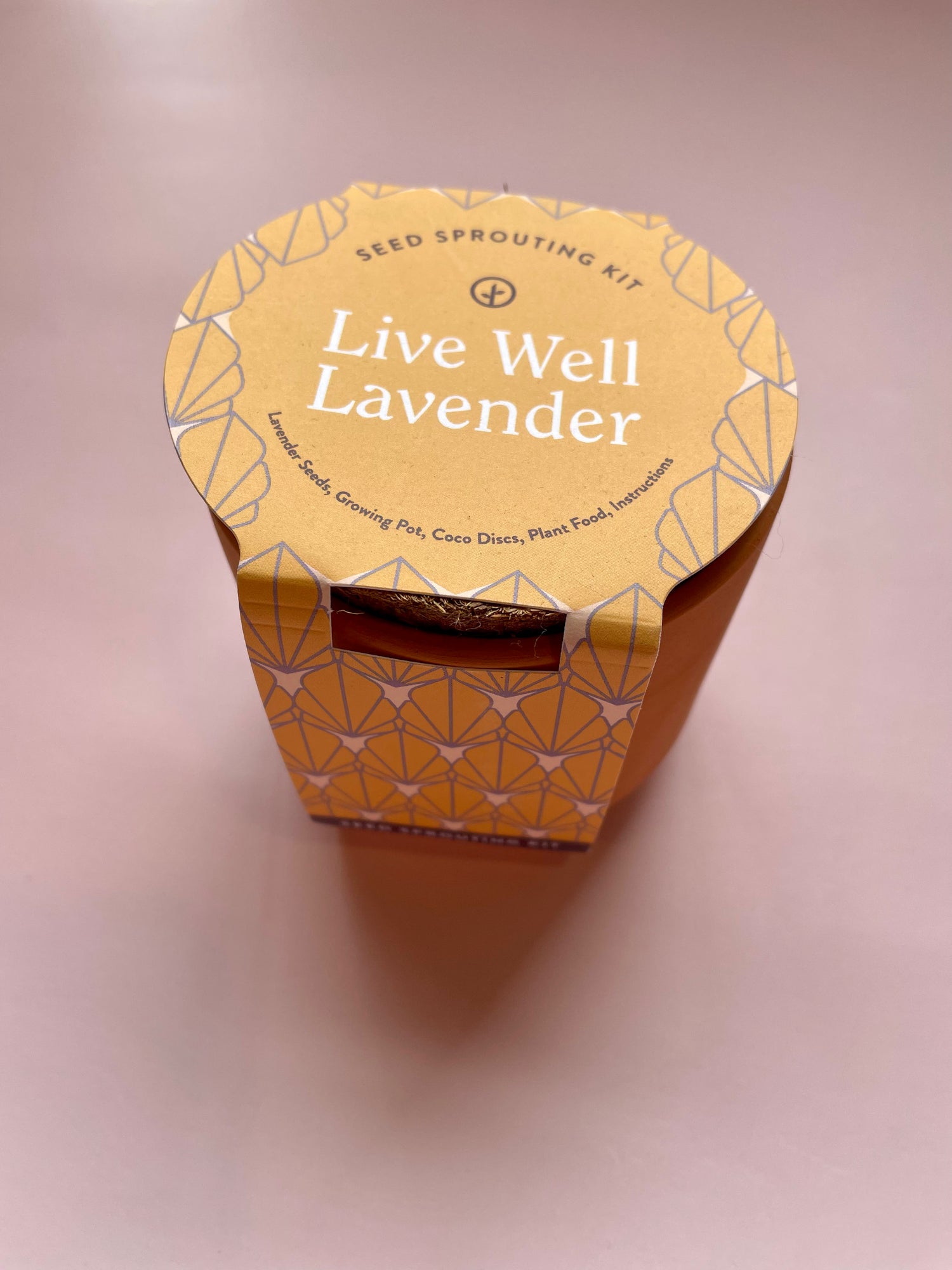 Tiny Terracotta Live Well Lavender