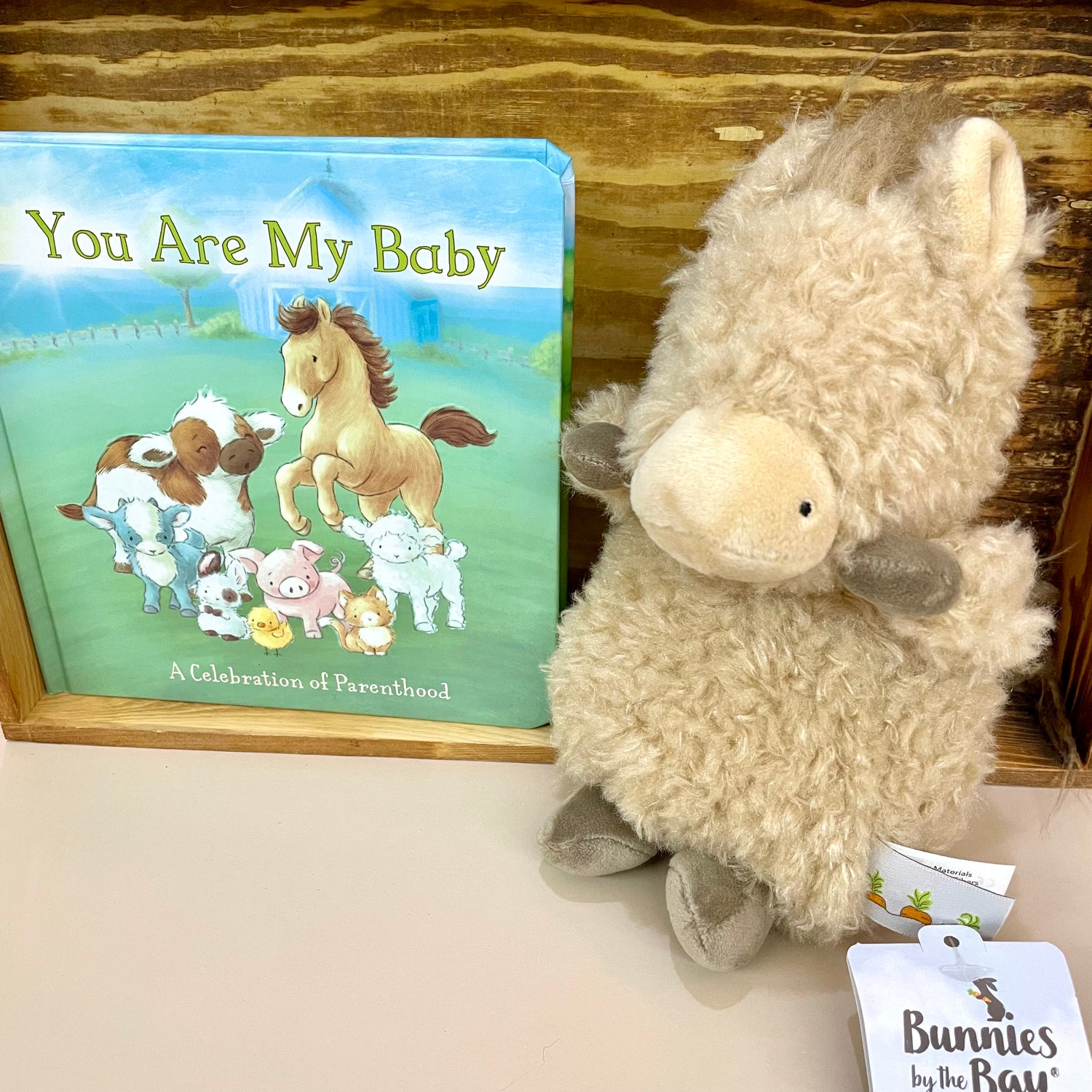 You Are My Baby Book Bunnies by the Bay