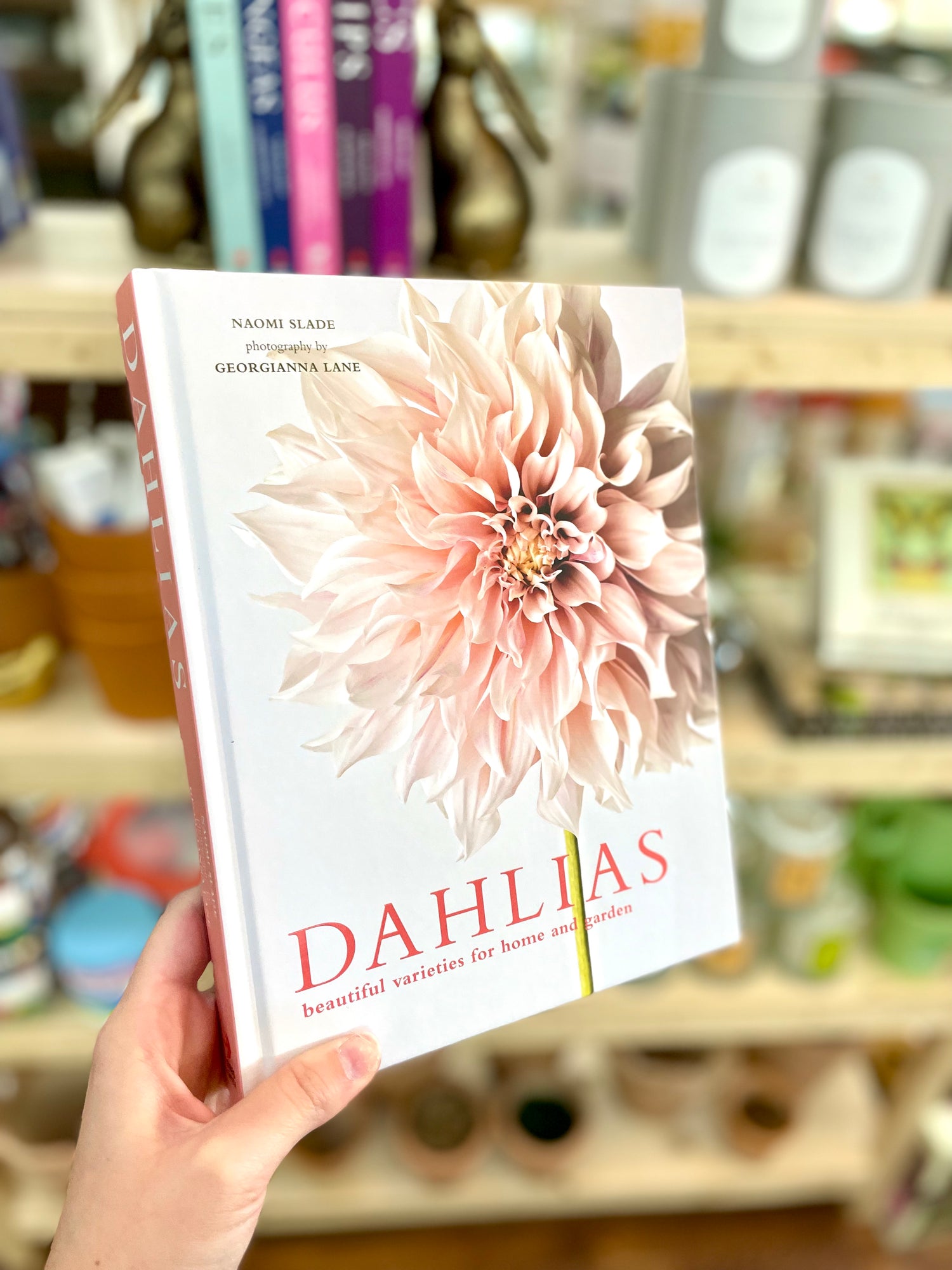 Dahlias Book