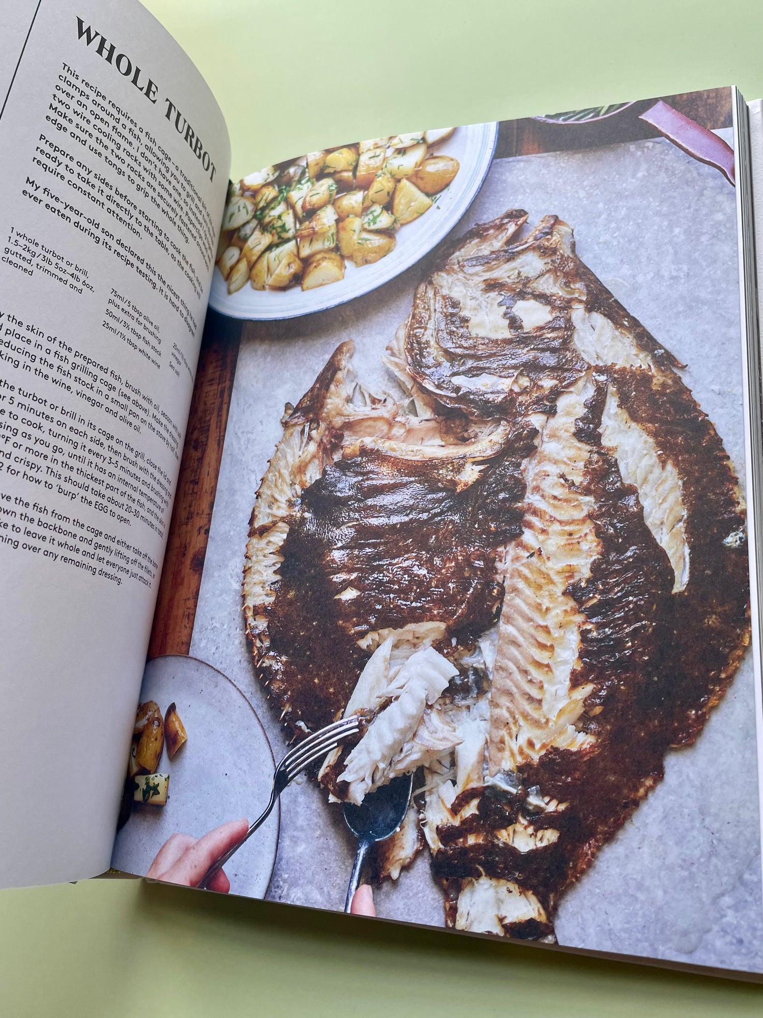 Cooking on the BIG Green Egg