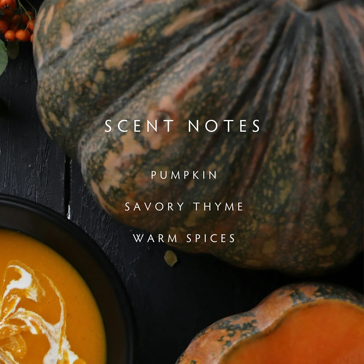 Harvest Pumpkin Two Wick Petite Candle