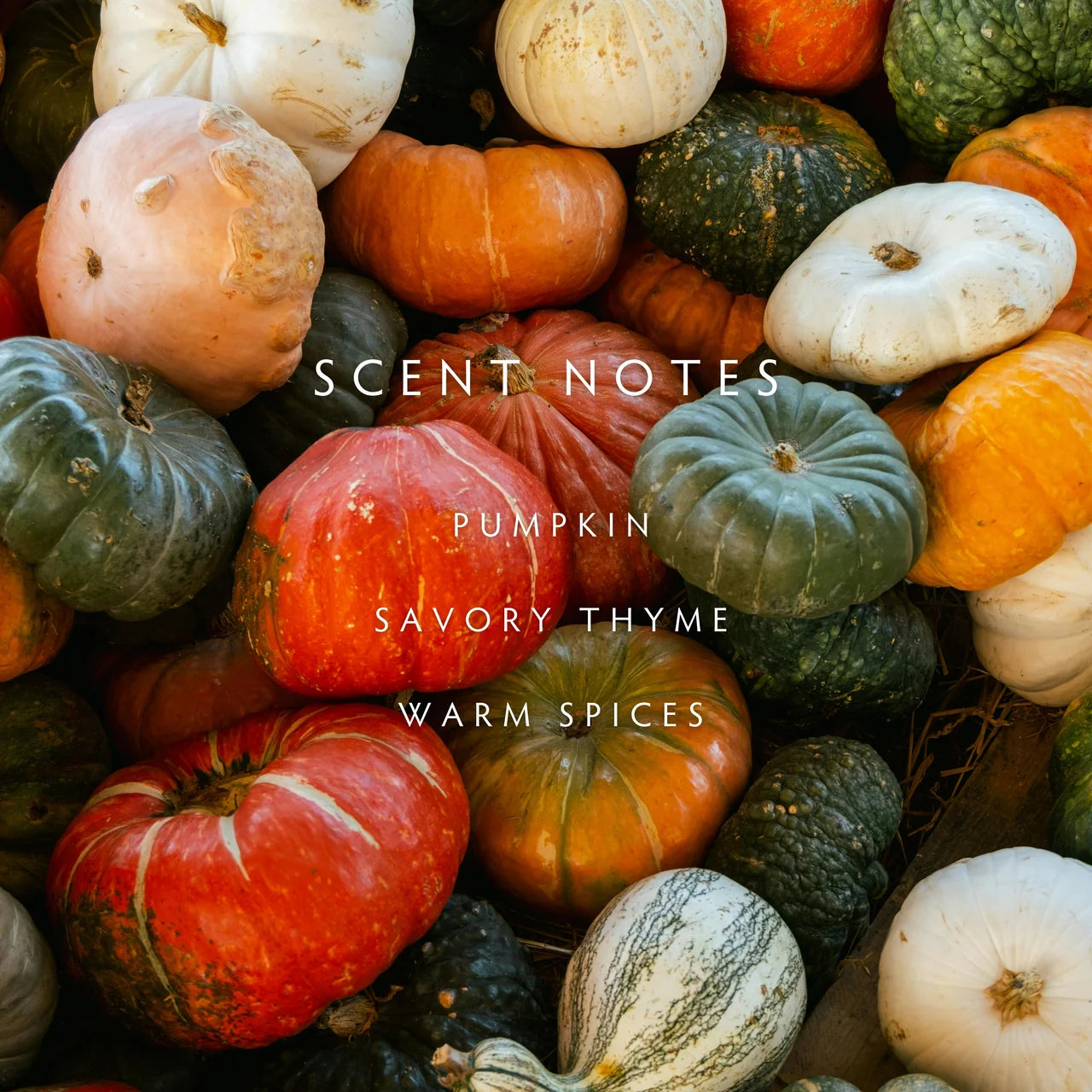 Harvest Pumpkin Two Wick Candle