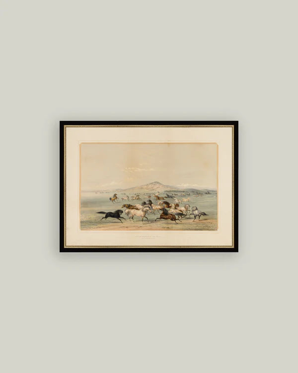 Field of Horses Print