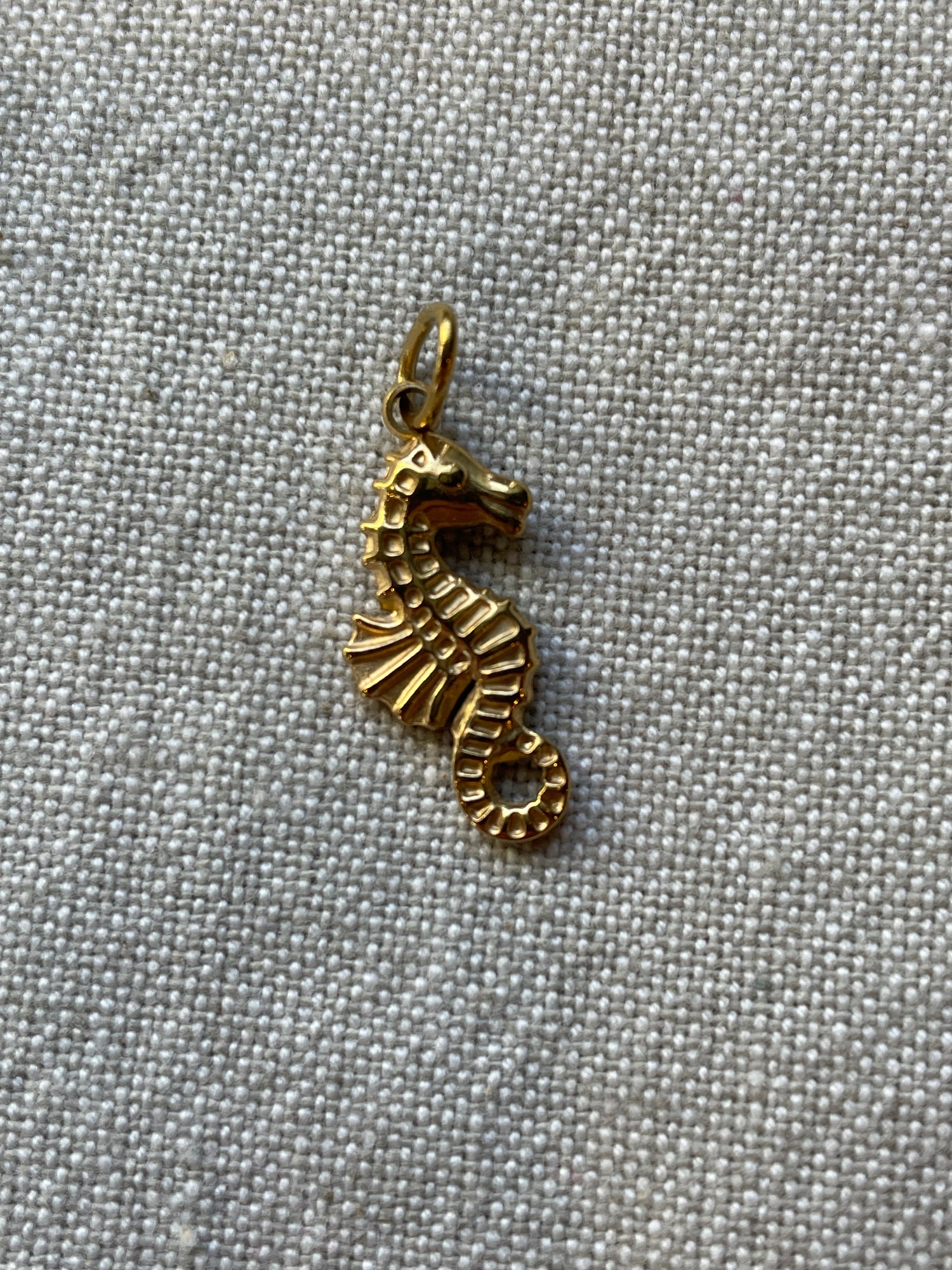 Seahorse Charm