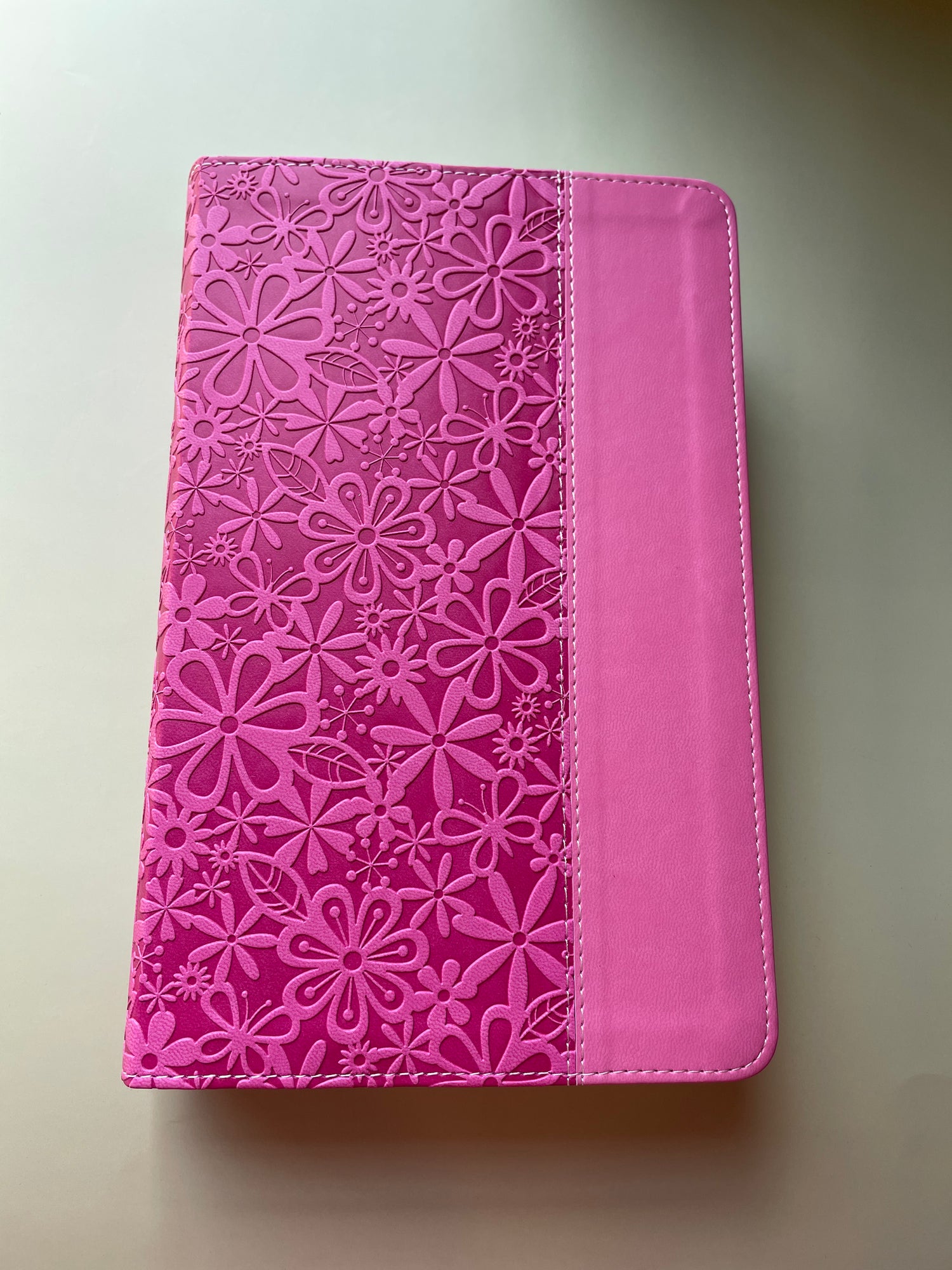 NIV Pink Adventure Bible